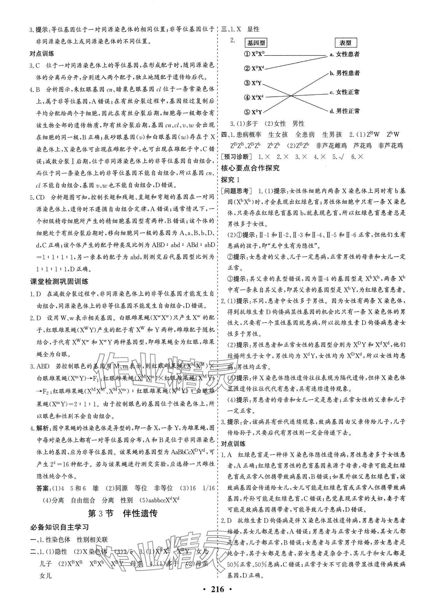 2024年優(yōu)化探究同步導(dǎo)學(xué)案高中生物必修2人教版 第10頁(yè)