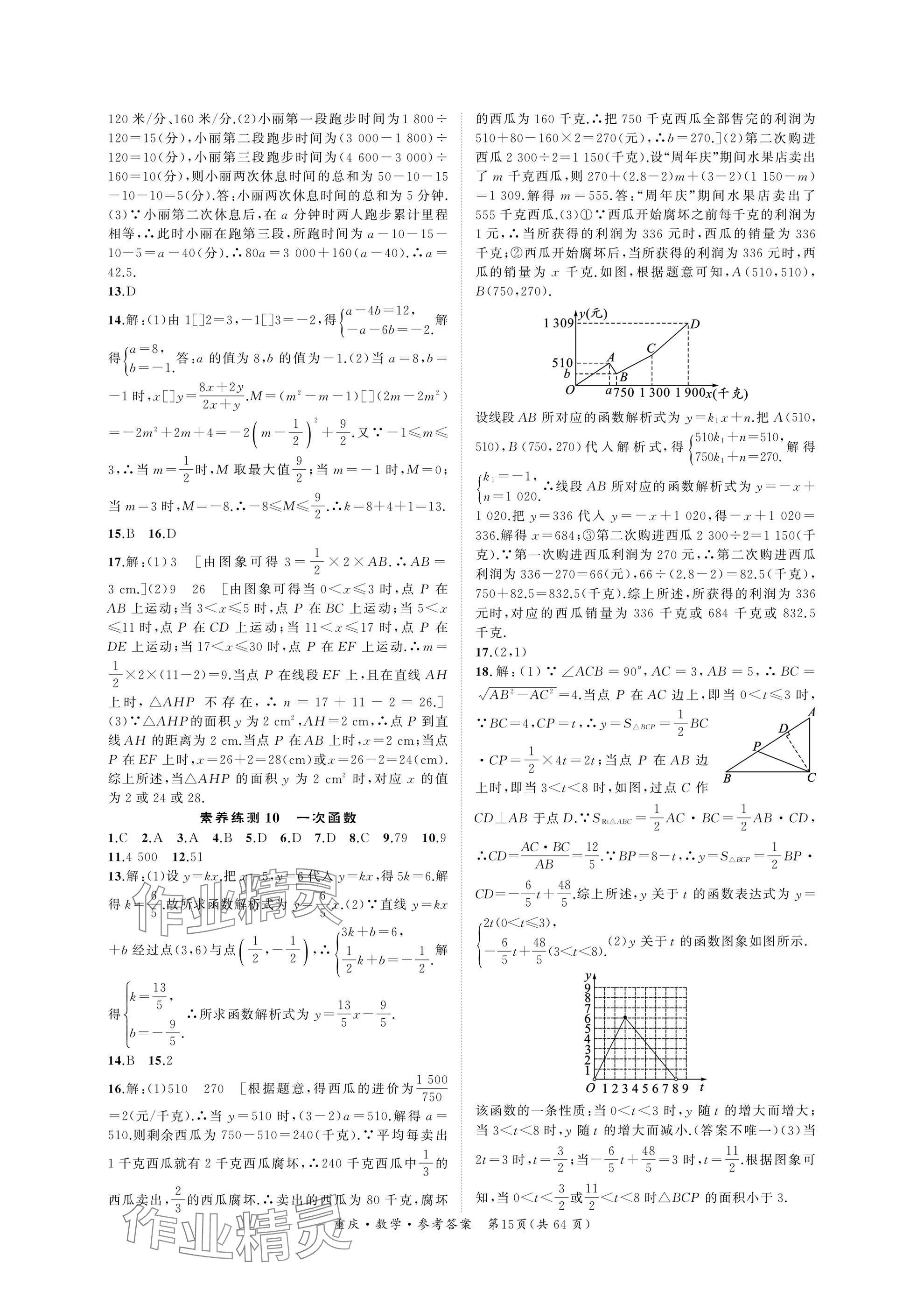 2025年學(xué)本課堂數(shù)學(xué)中考重慶專版 參考答案第15頁