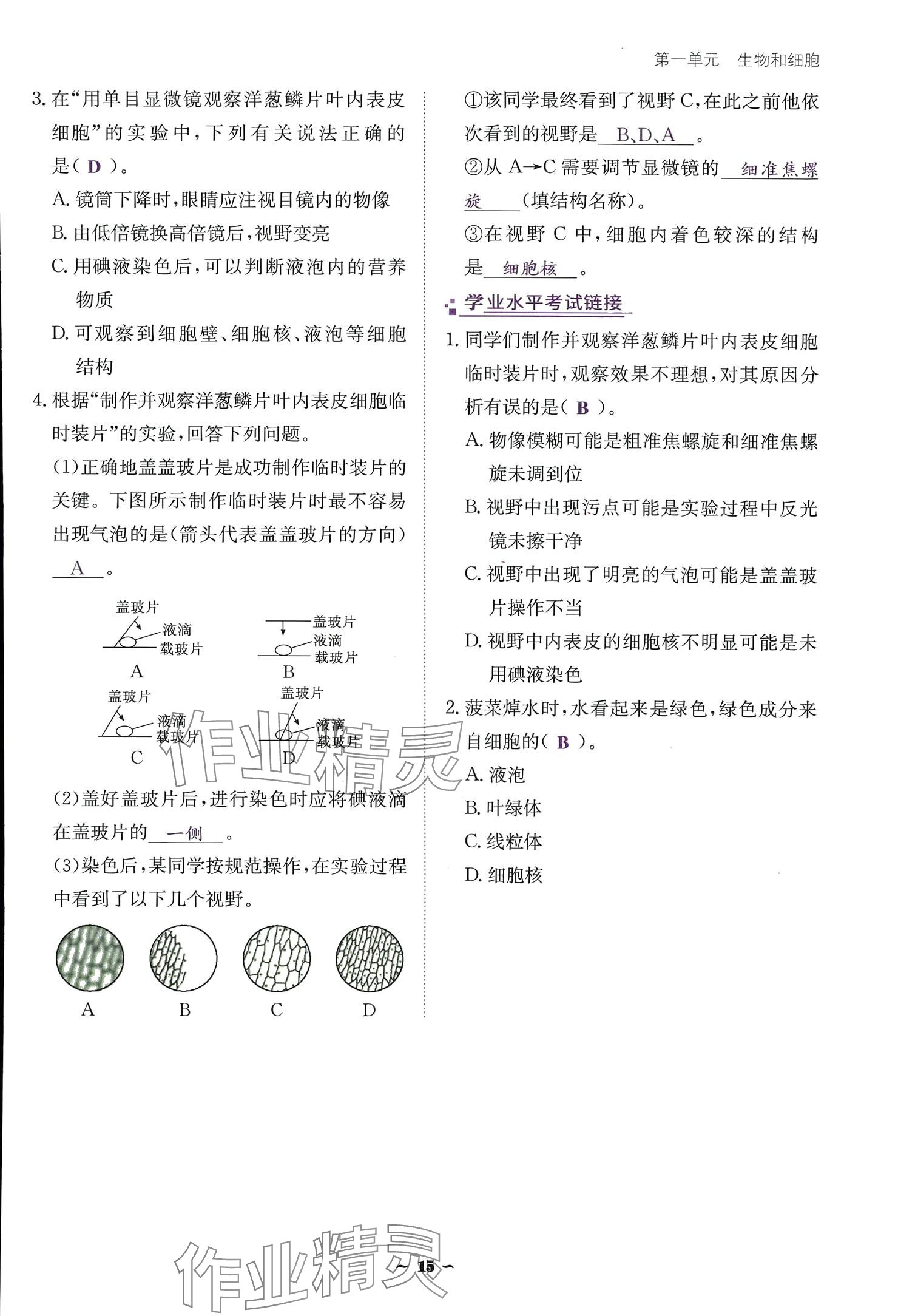 2024云南省標(biāo)準(zhǔn)教輔優(yōu)佳學(xué)案七年級生物上冊 參考答案第15頁