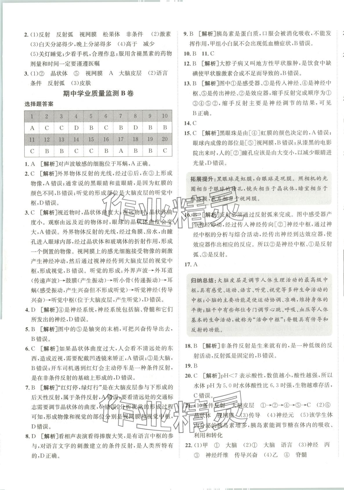 2025年海淀單元測試AB卷七年級生物下冊魯科版 第5頁