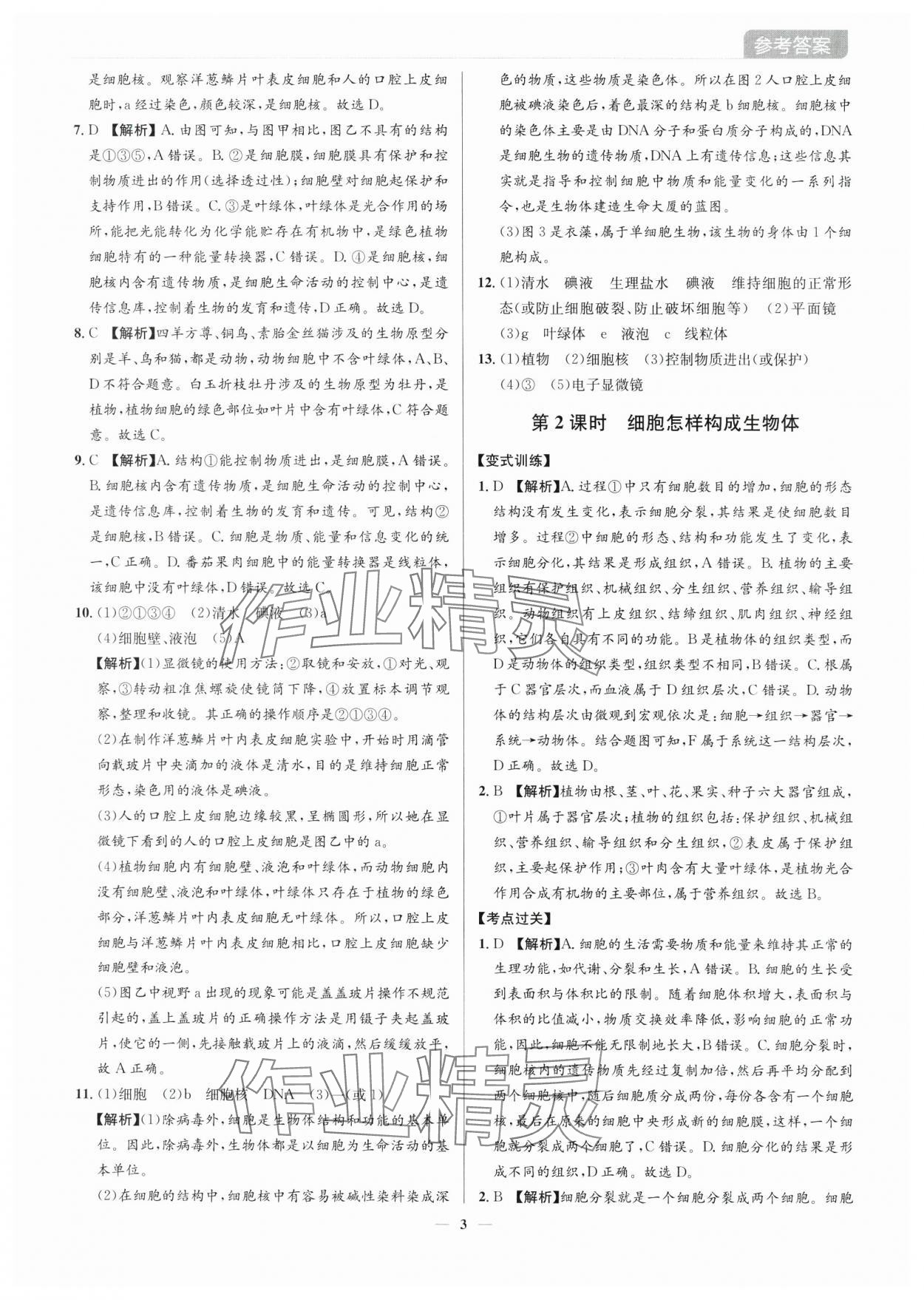 2025年廣東名師講練通中考總復習生物深圳專版&nbsp;第3頁