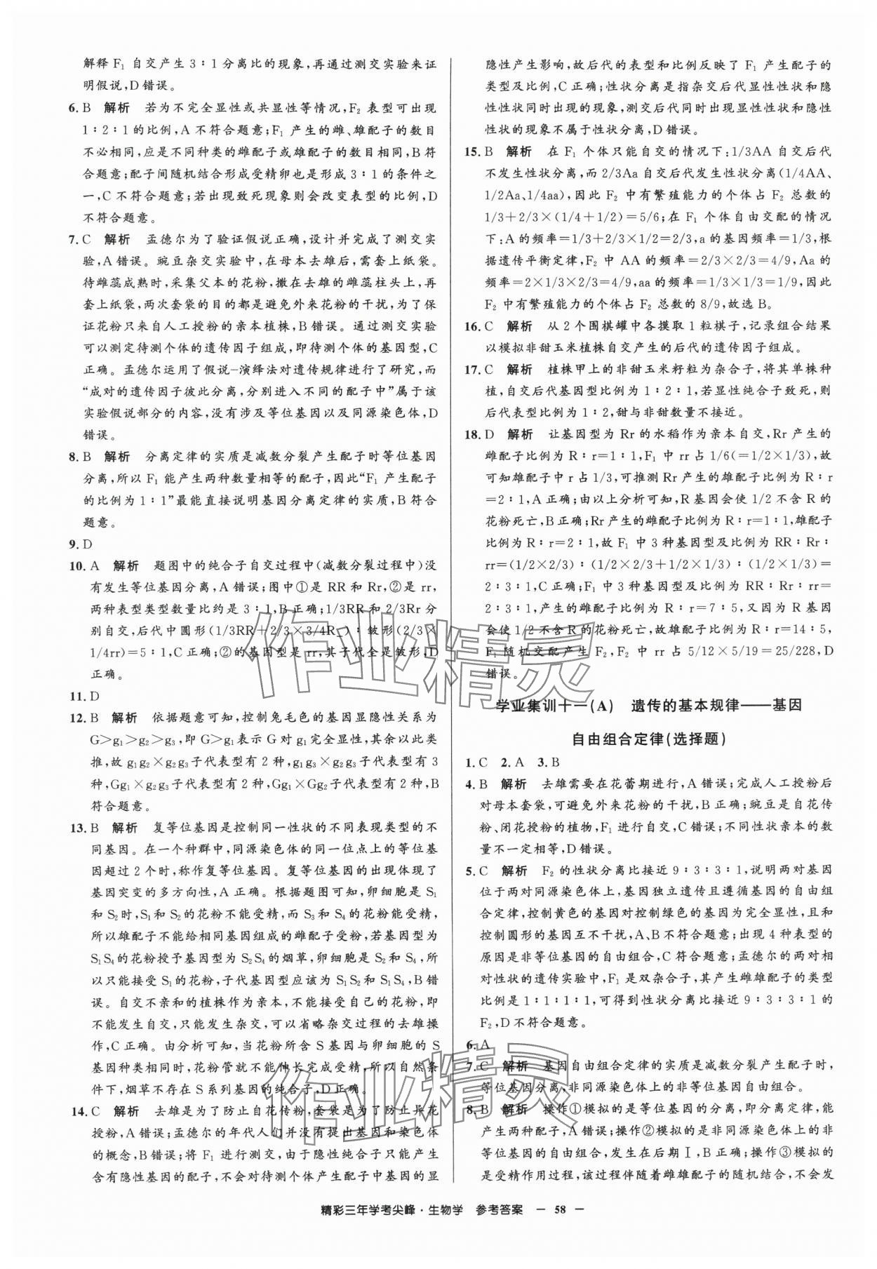 2025年精彩三年學考尖峰生物浙江專版 第12頁
