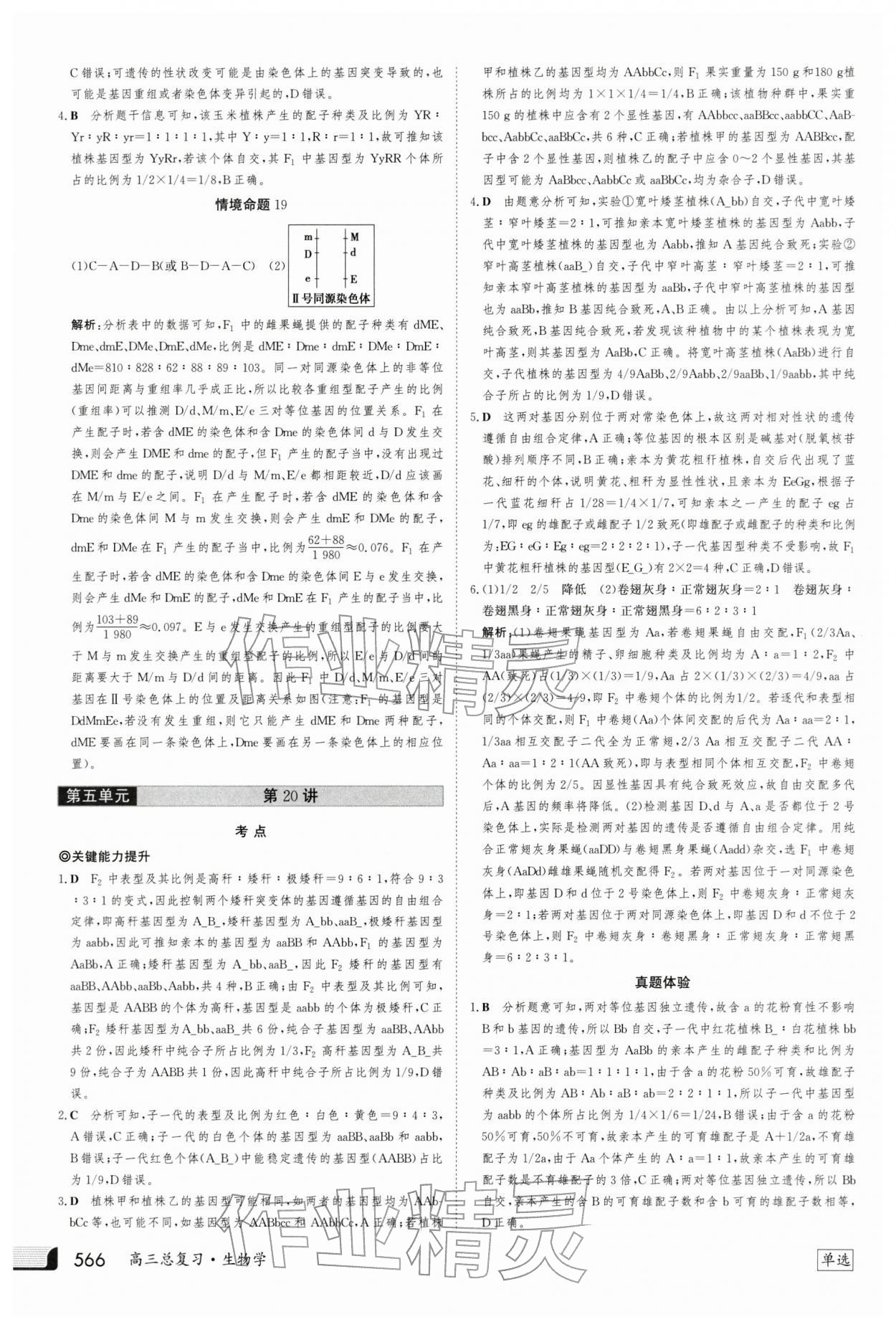 2025年金版新学案高三总复习生物 第26页