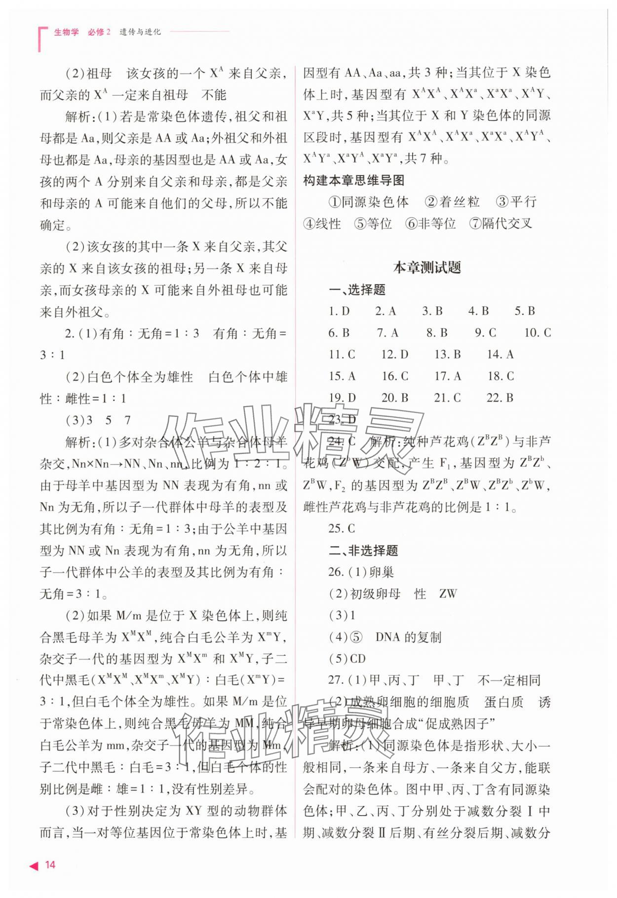 2025年普通高中同步練習(xí)冊高中生物必修2人教版 參考答案第14頁