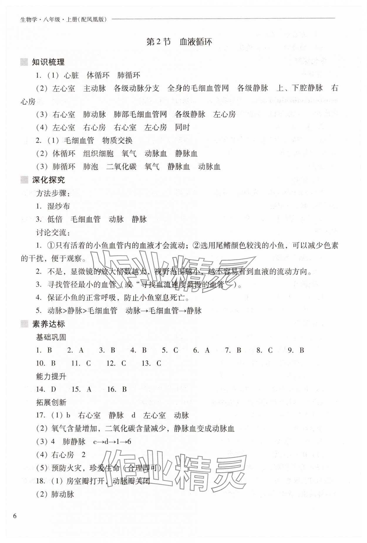 2025年新课程问题解决导学方案八年级生物上册苏教版 参考答案第6页
