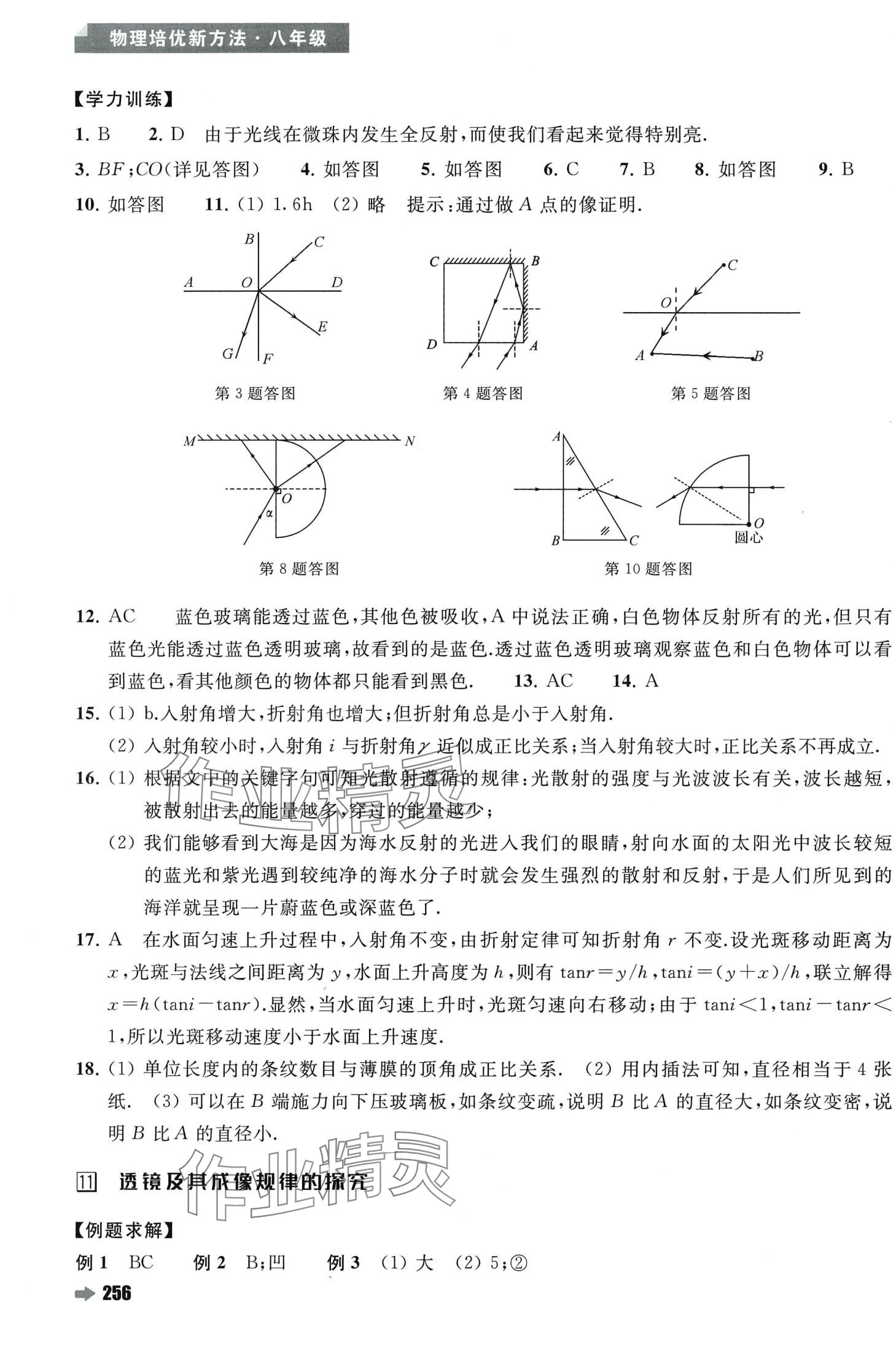 2024年培优新方法八年级物理 第12页