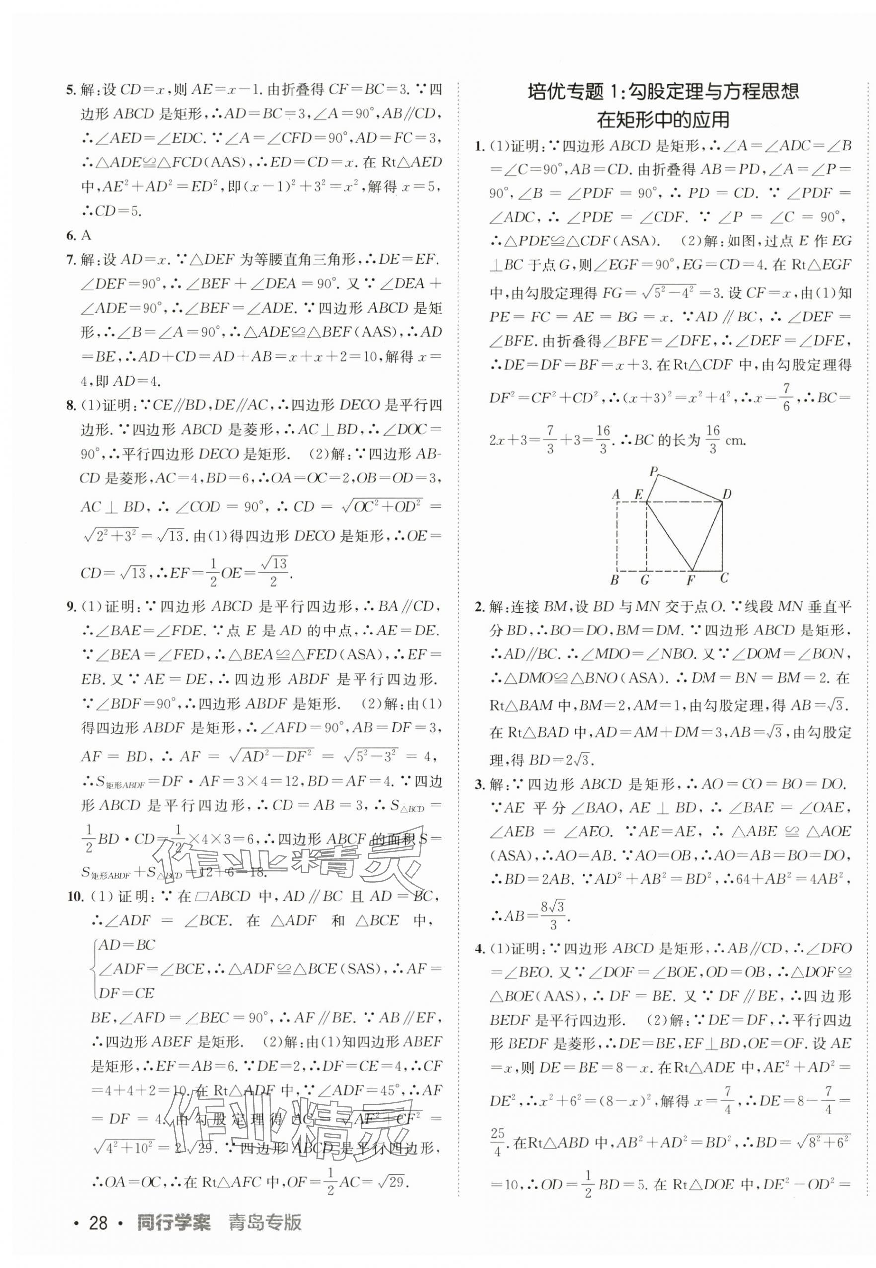 2025年同行学案学练测九年级数学全一册北师大版青岛专版 第3页