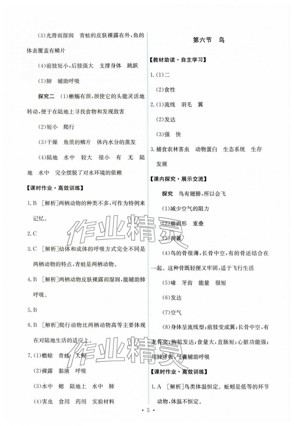 2024年能力培养与测试八年级生物上册人教版 第5页