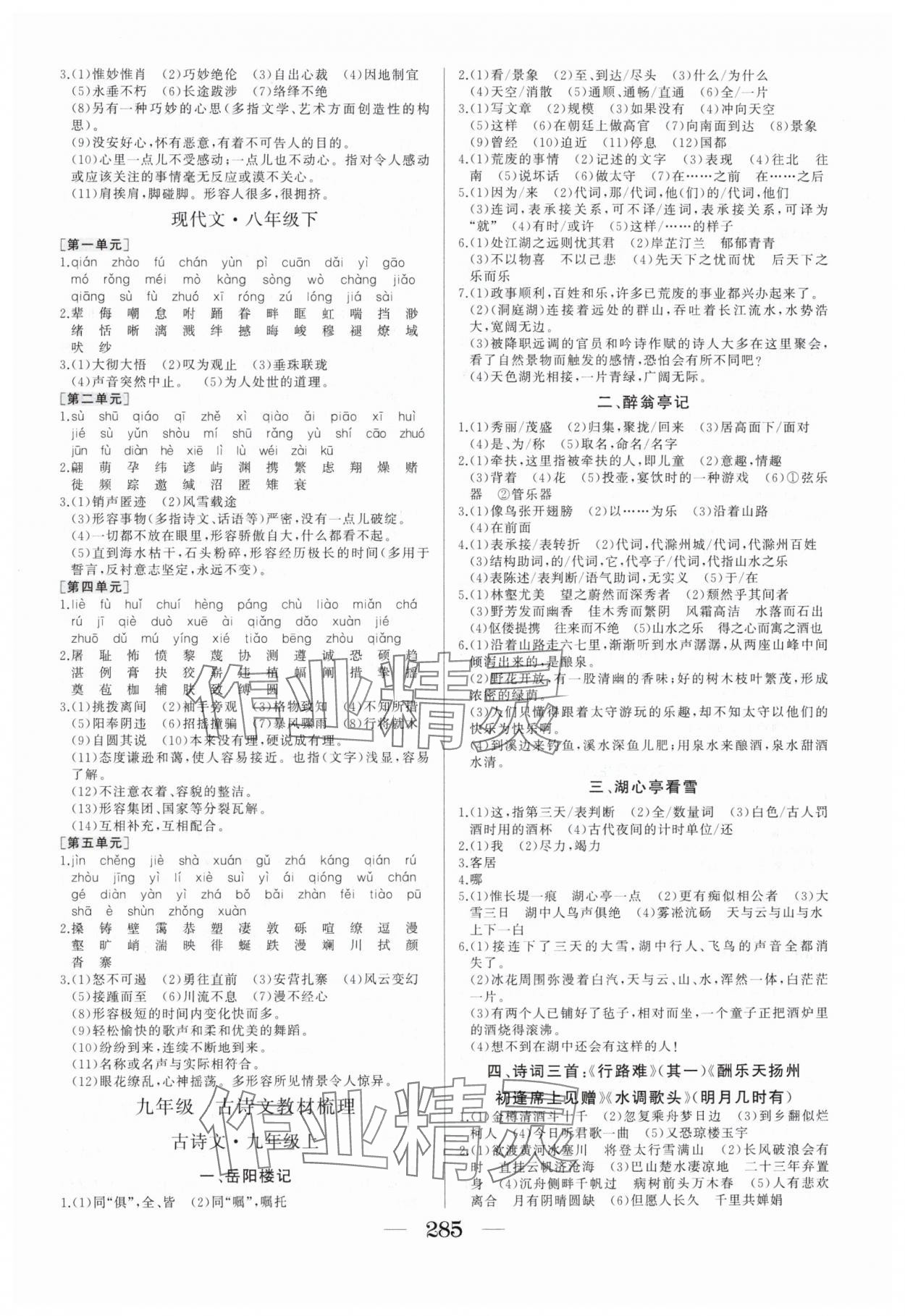 2025年畢業(yè)班綜合訓(xùn)練語文中考安徽專版 參考答案第6頁