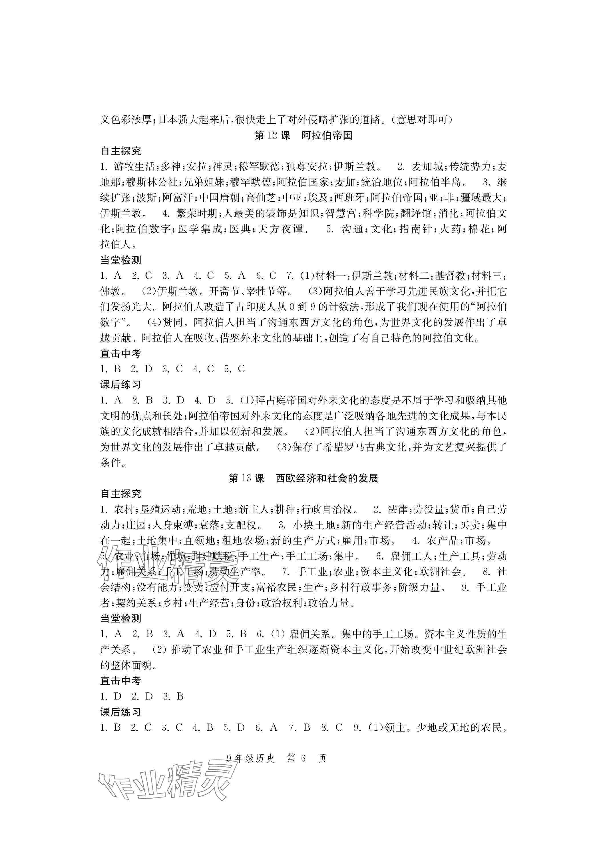 2023年導(dǎo)學(xué)與評價方案九年級歷史全一冊人教版 參考答案第6頁