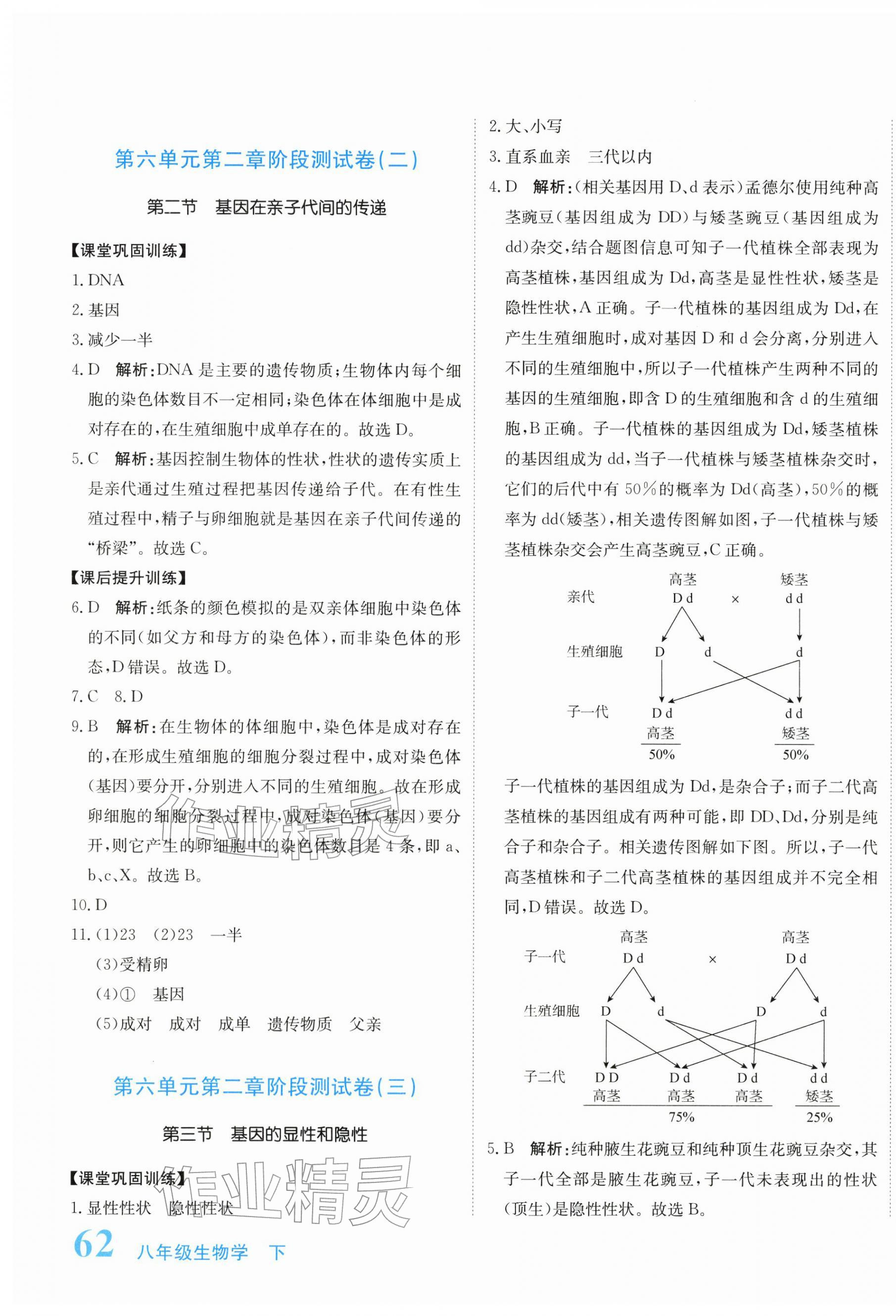 2026年提分教练八年级生物下册人教版&nbsp;第7页