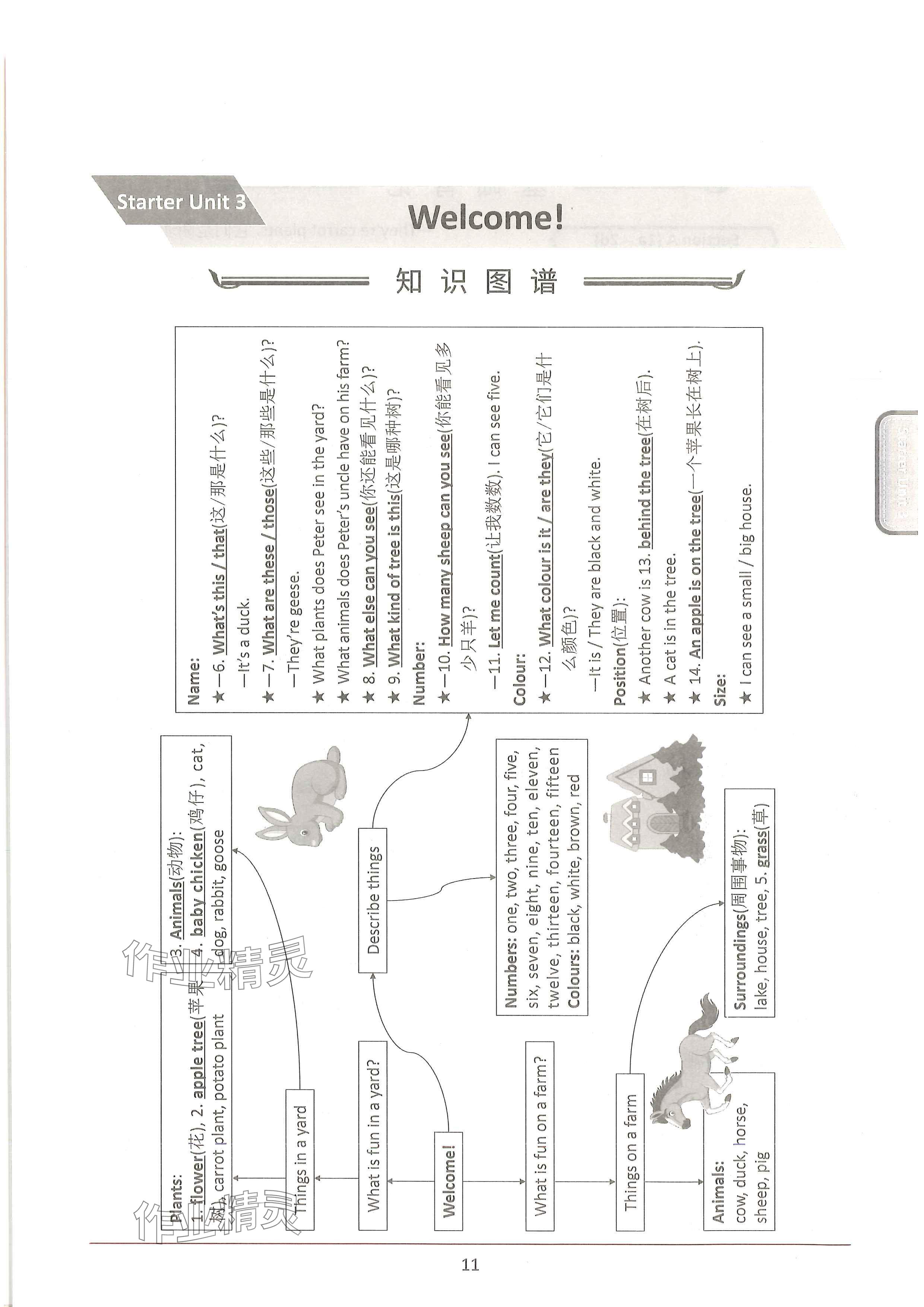 2024年新视界单元复习七年级英语上册人教版&nbsp;参考答案第11页