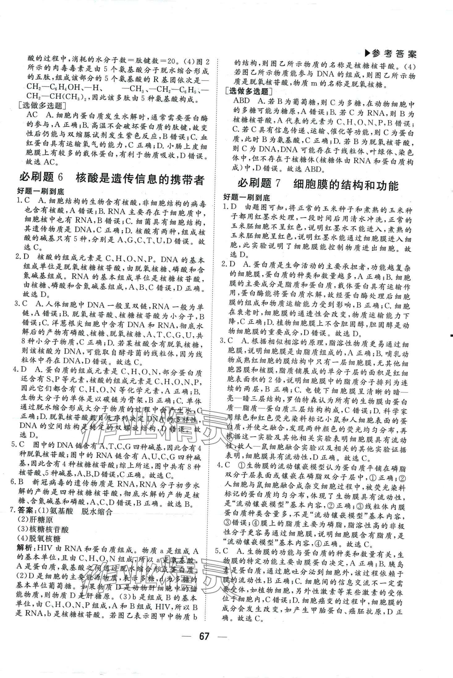 2024年優(yōu)選課堂必刷題高一生物學(xué) 第4頁(yè)