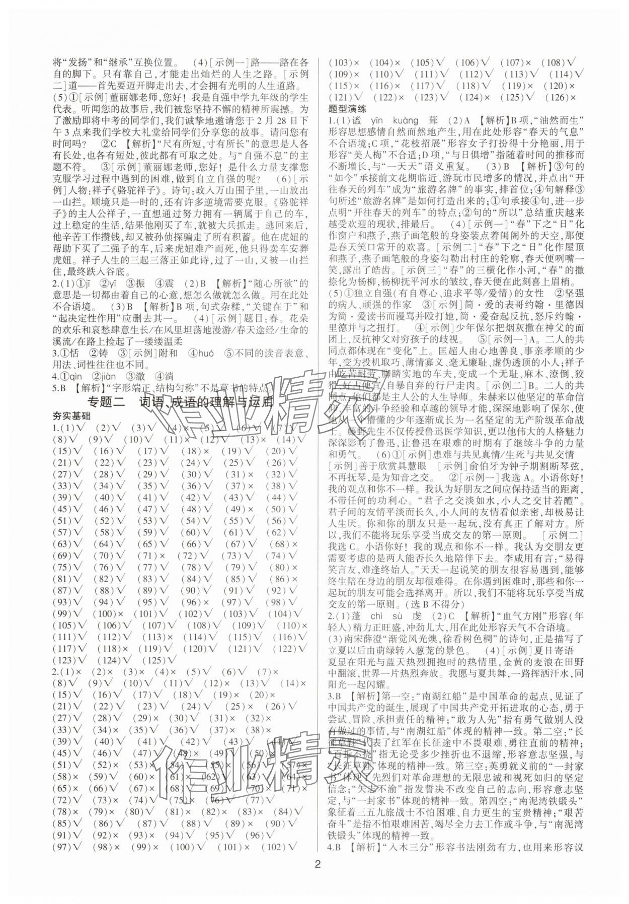 2025年巅峰导学总复习语文重庆专版 参考答案第2页