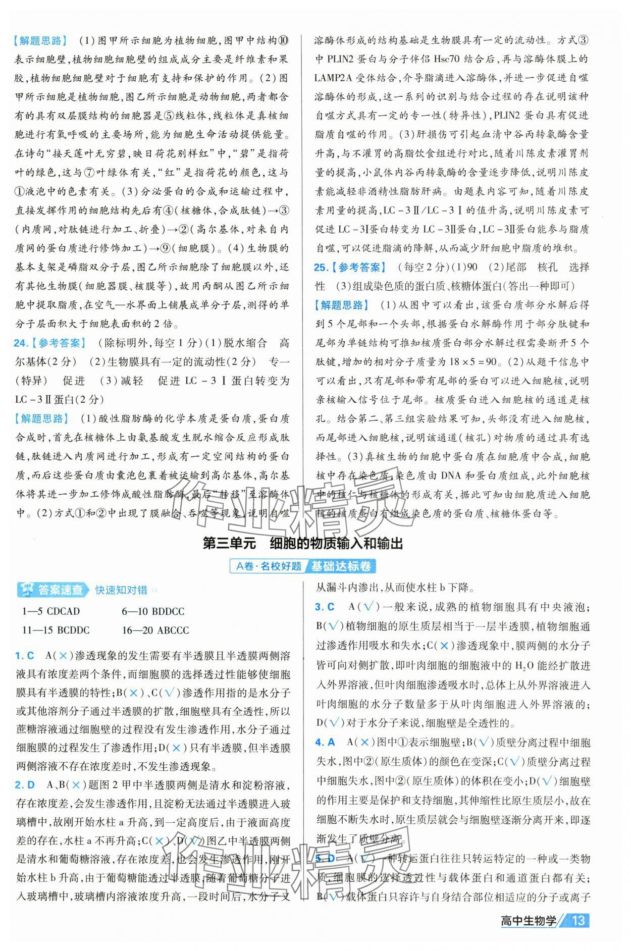 2025年金考卷名師名題單元雙測卷高中生物必修1人教版 第13頁
