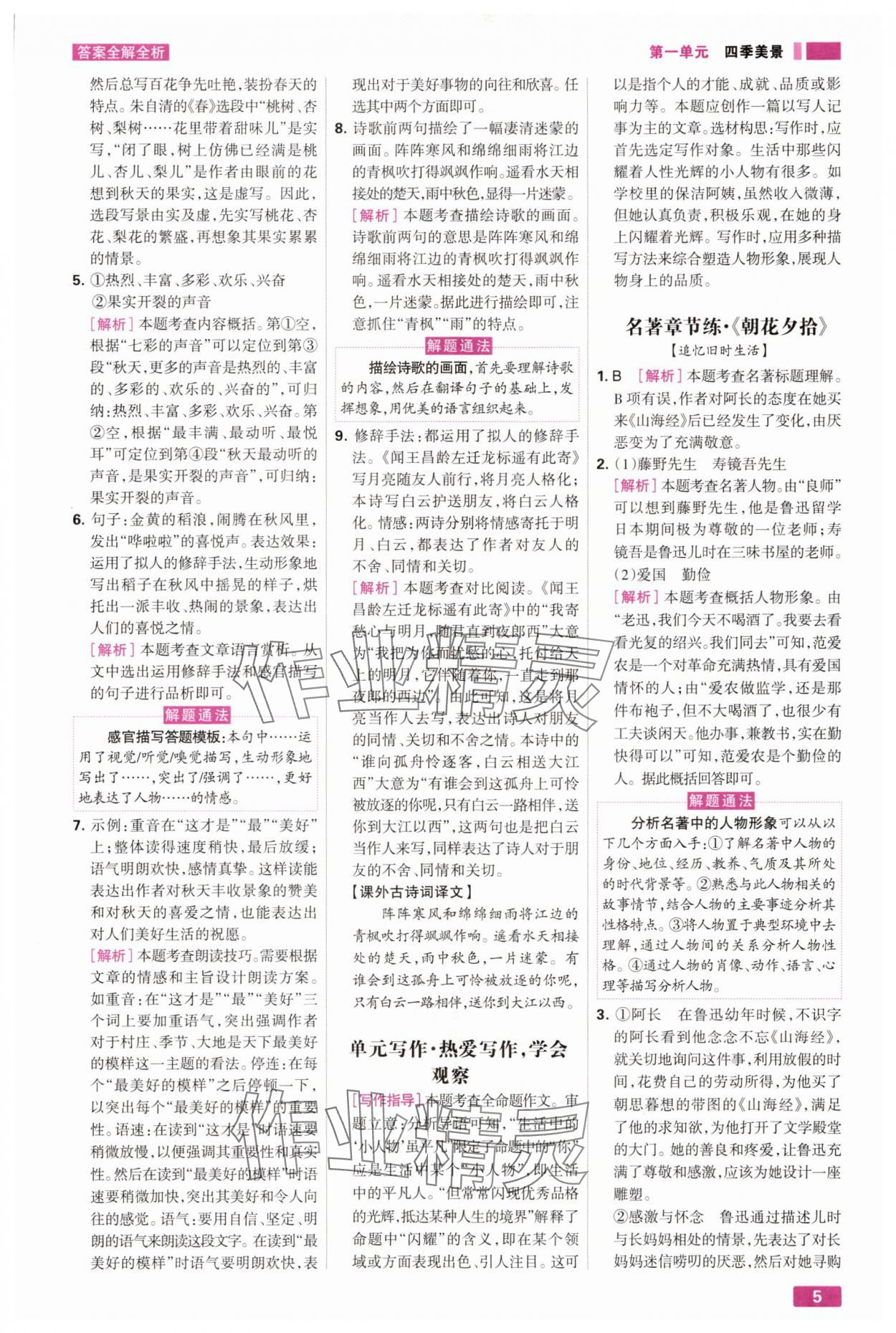 2025年考点集训与满分备考七年级语文上册人教版 第5页