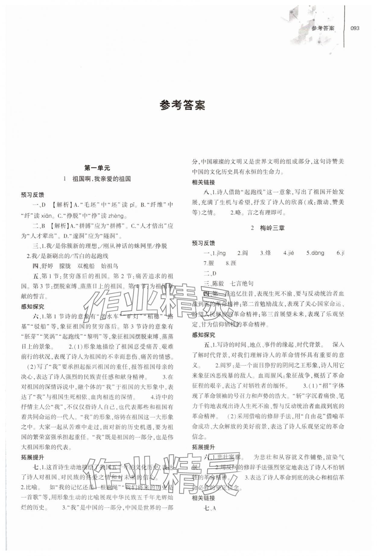 2024年同步練習(xí)冊(cè)大象出版社九年級(jí)語文下冊(cè)人教版 第1頁