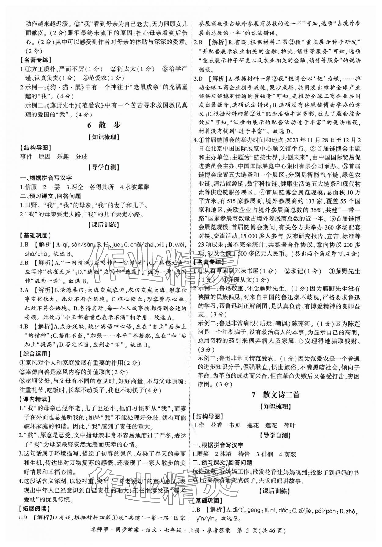 2024年名師幫同步學(xué)案七年級(jí)語(yǔ)文上冊(cè)人教版 參考答案第5頁(yè)