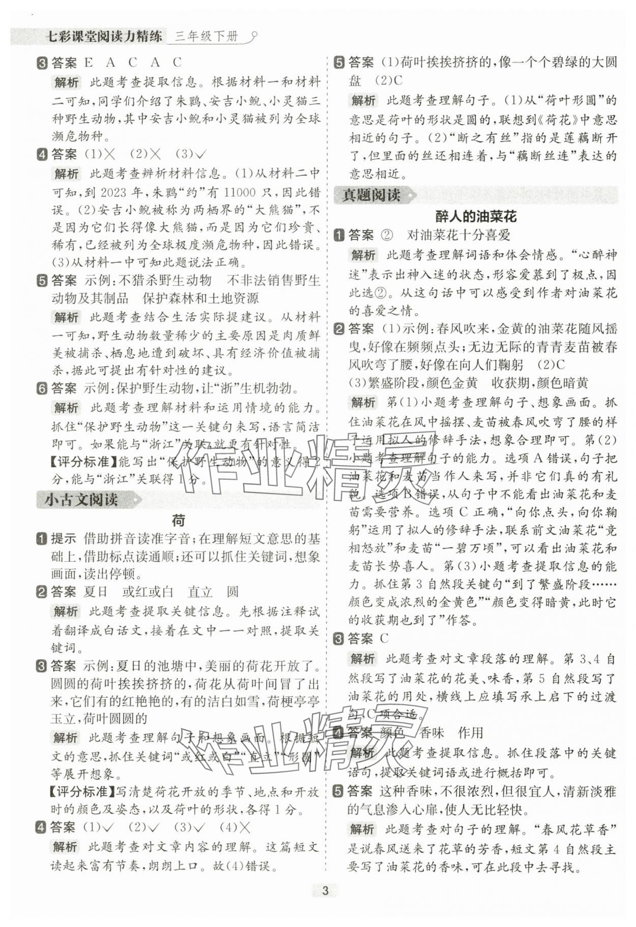 2025年阅读力精练三年级语文下册人教版&nbsp;参考答案第3页