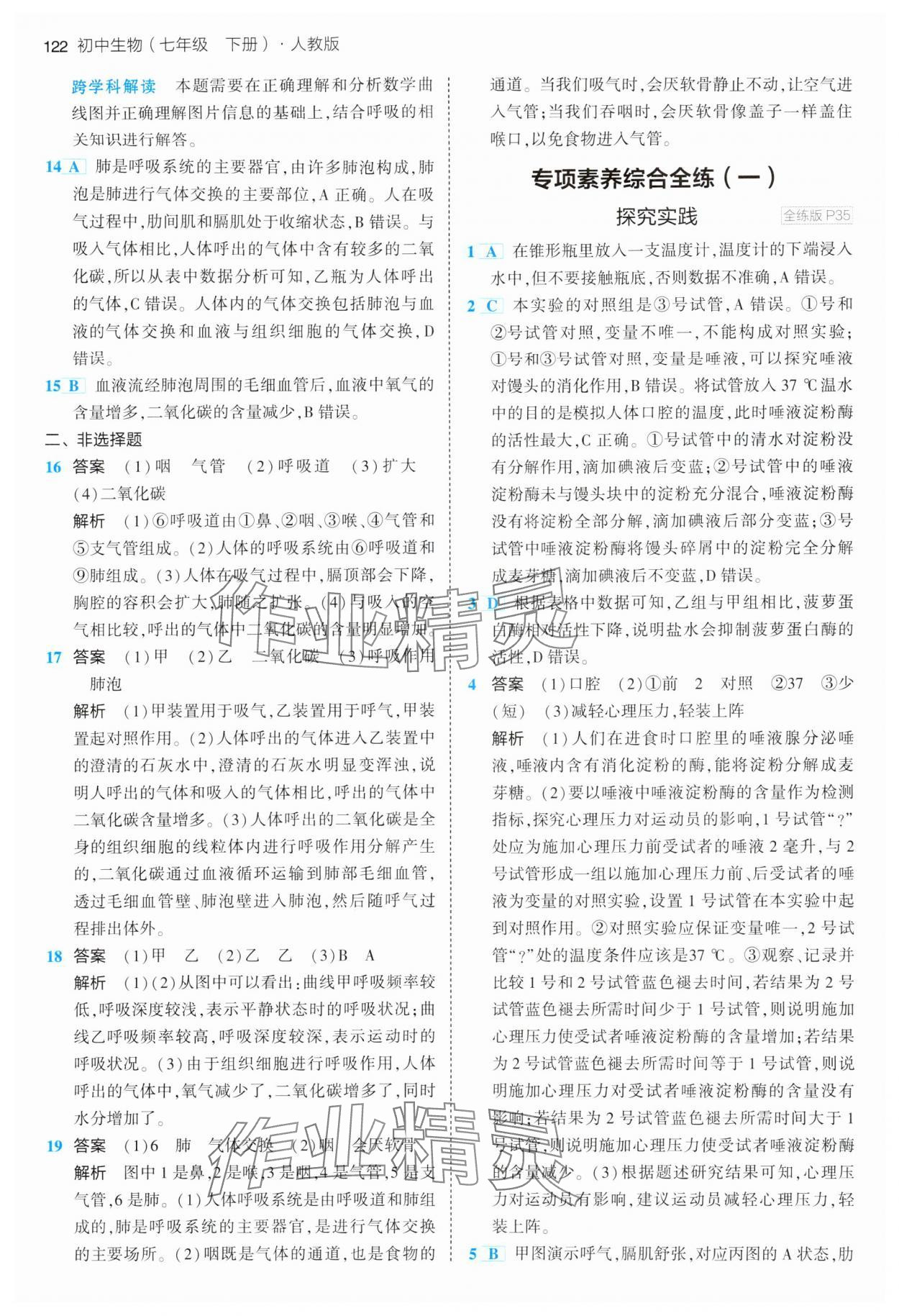 2024年5年中考3年模拟七年级生物下册人教版 参考答案第12页