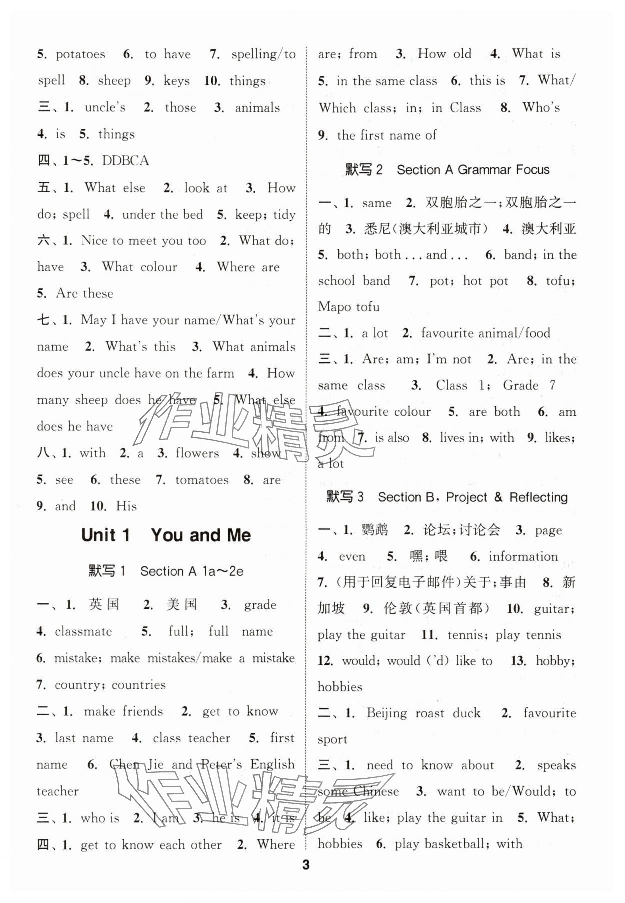 2025年默写能手七年级英语上册人教版 第3页
