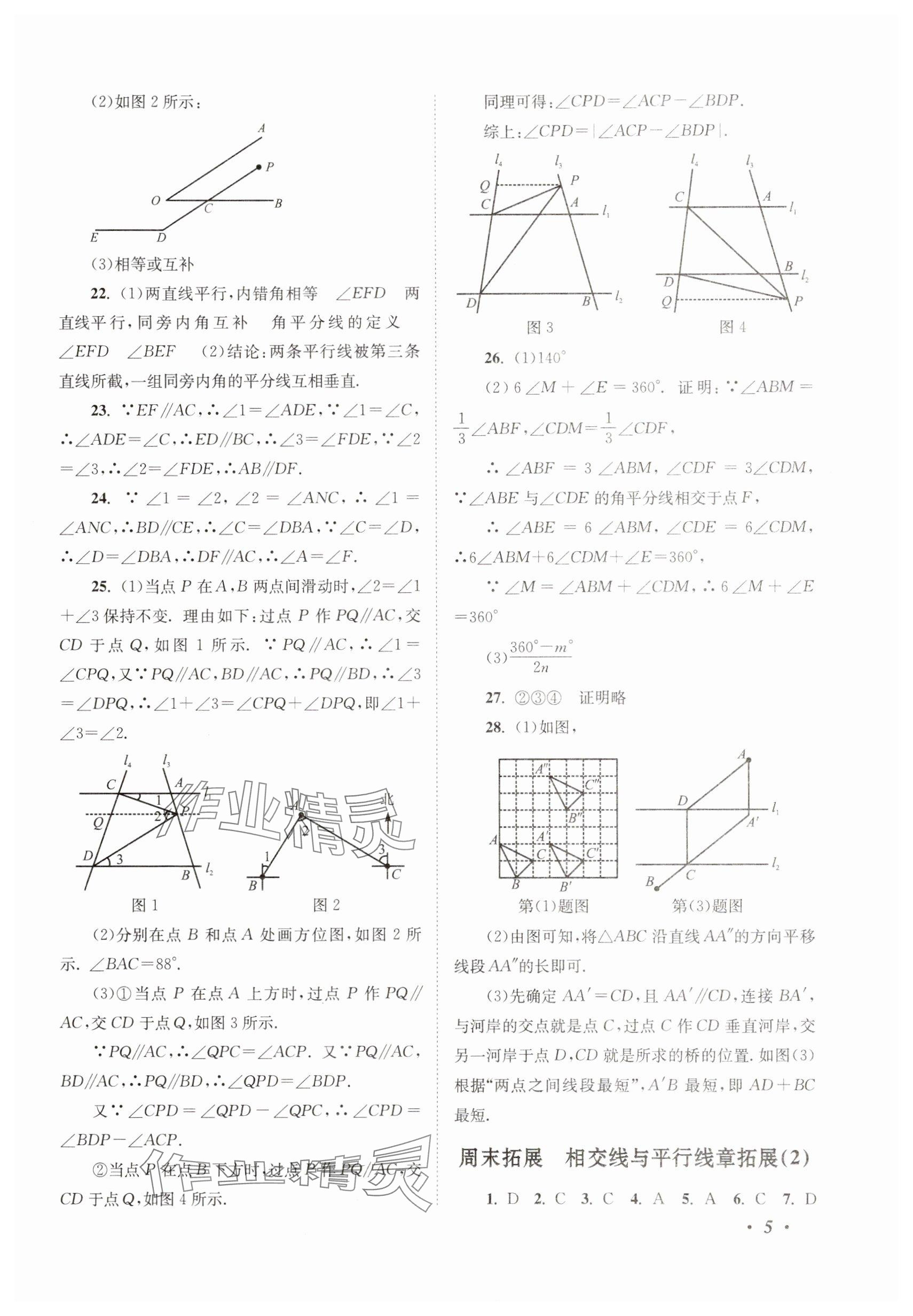 2025年拓展與培優七年級數學下冊浙教版 參考答案第5頁