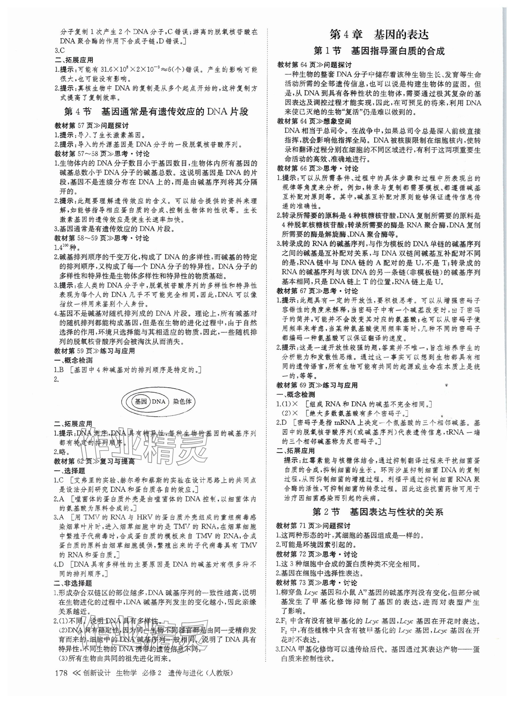 2025年創新設計高中生物必修2人教版 參考答案第3頁
