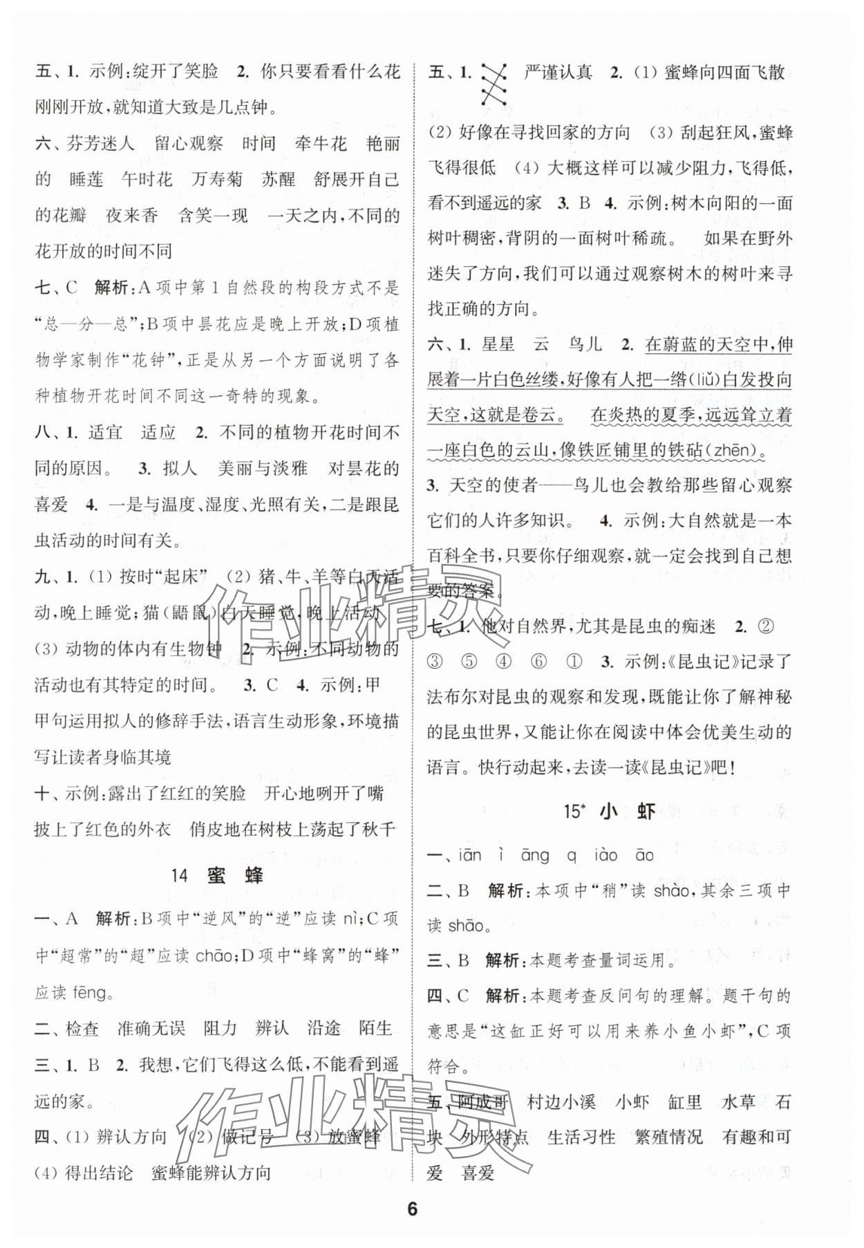 2024年通城学典课时作业本三年级语文下册人教版 参考答案第6页