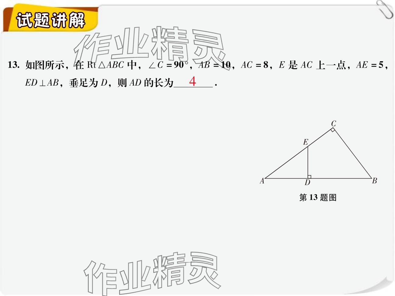 2024年复习直通车期末复习与假期作业九年级数学北师大版 参考答案第55页