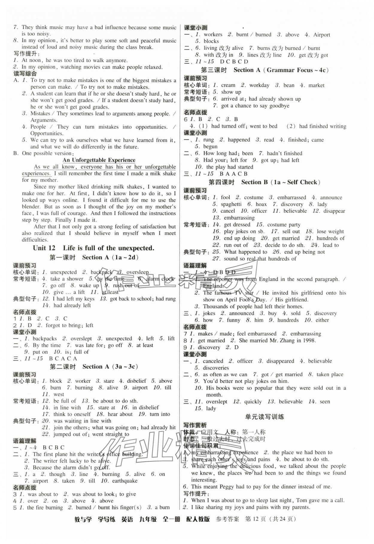 2024年教與學(xué)學(xué)導(dǎo)練九年級(jí)英語(yǔ)全一冊(cè)人教版 第12頁(yè)