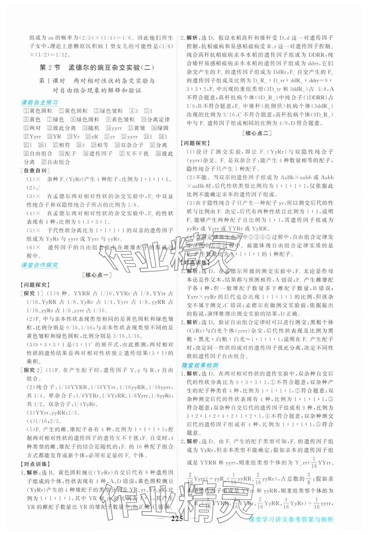 2025年新坐標同步練習高中生物必修2人教版 參考答案第4頁