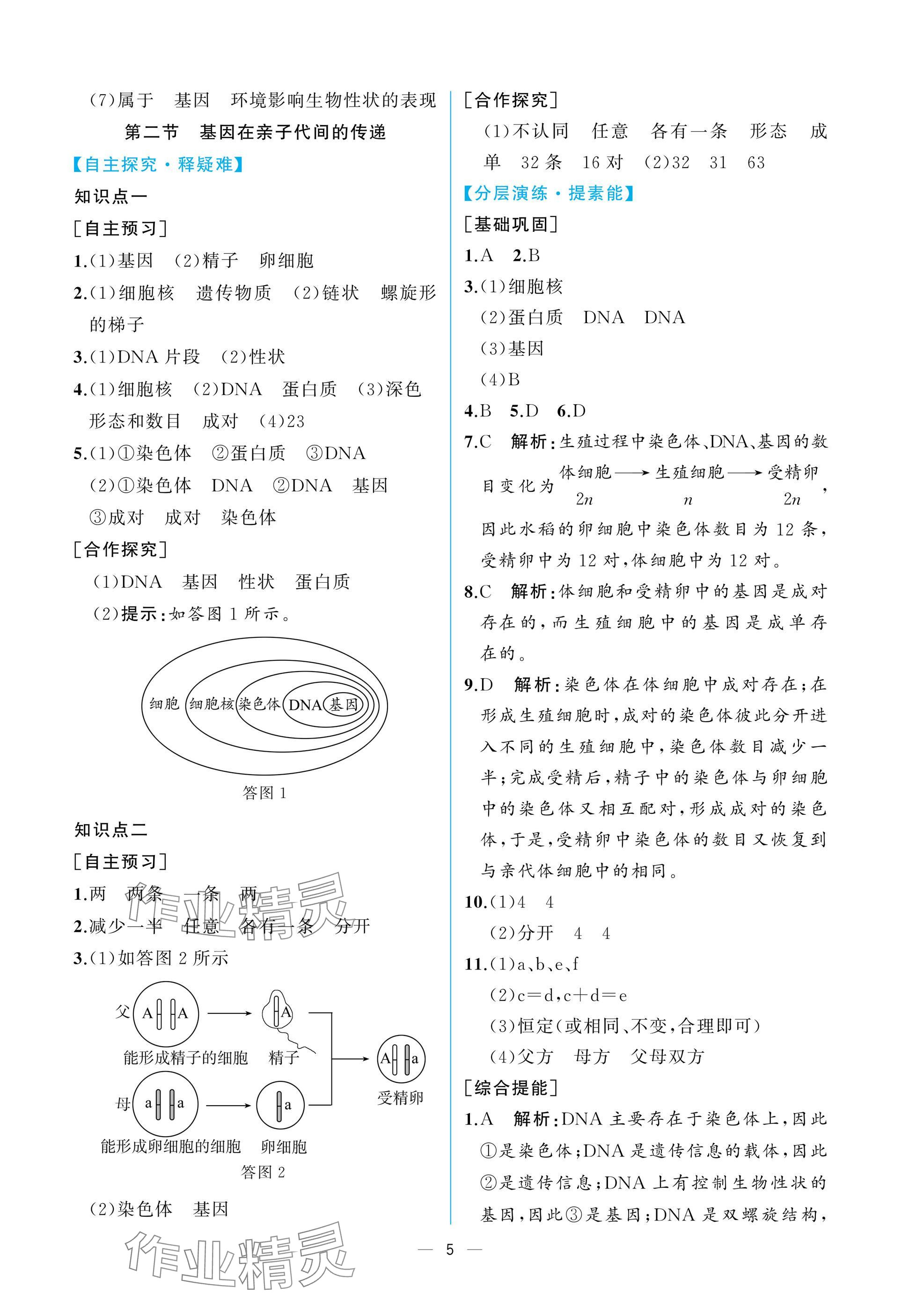 2025年课时练人民教育出版社八年级生物下册人教版 参考答案第5页