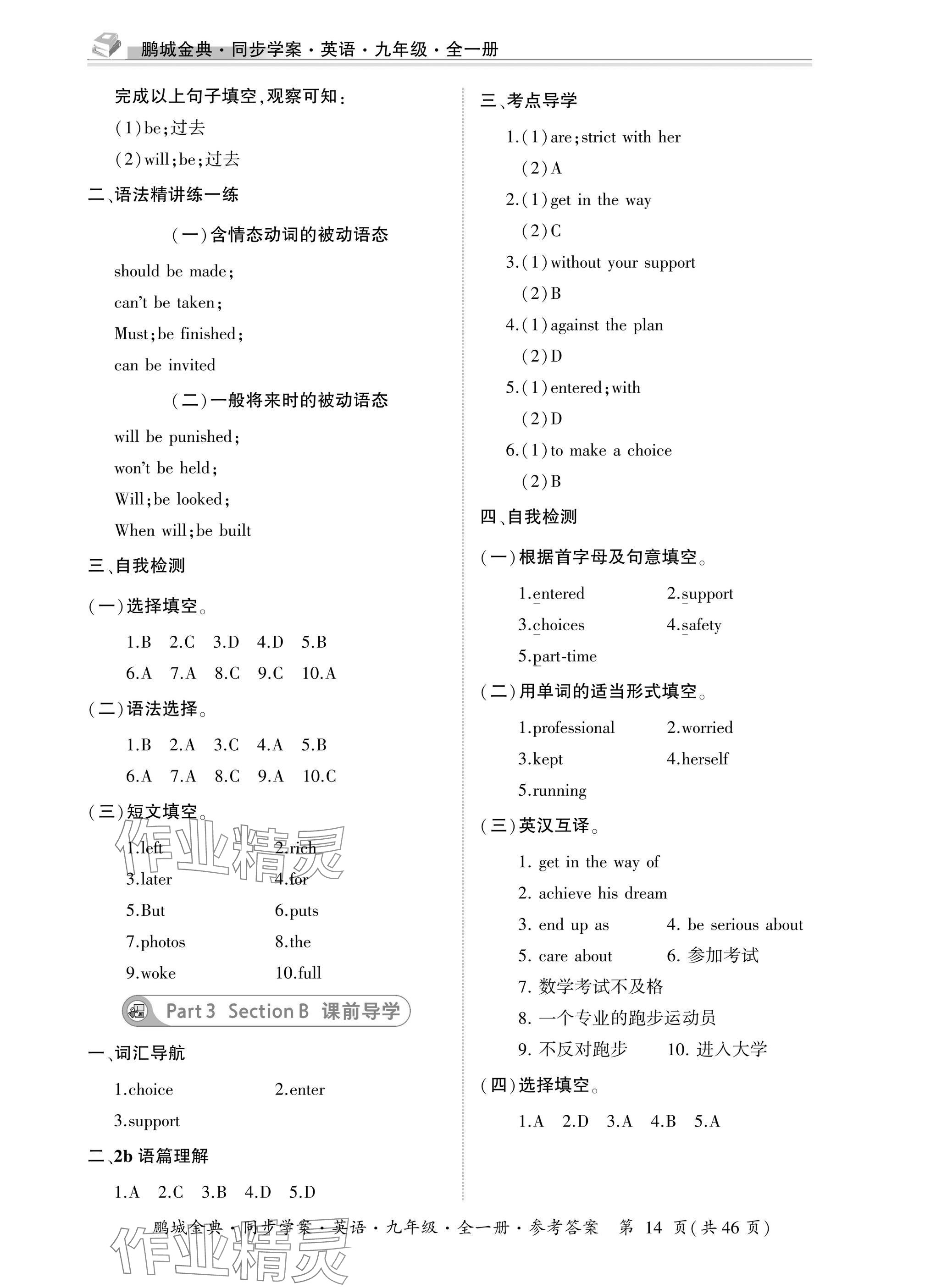2025年名师帮同步学案九年级英语全一册人教版&nbsp;参考答案第14页