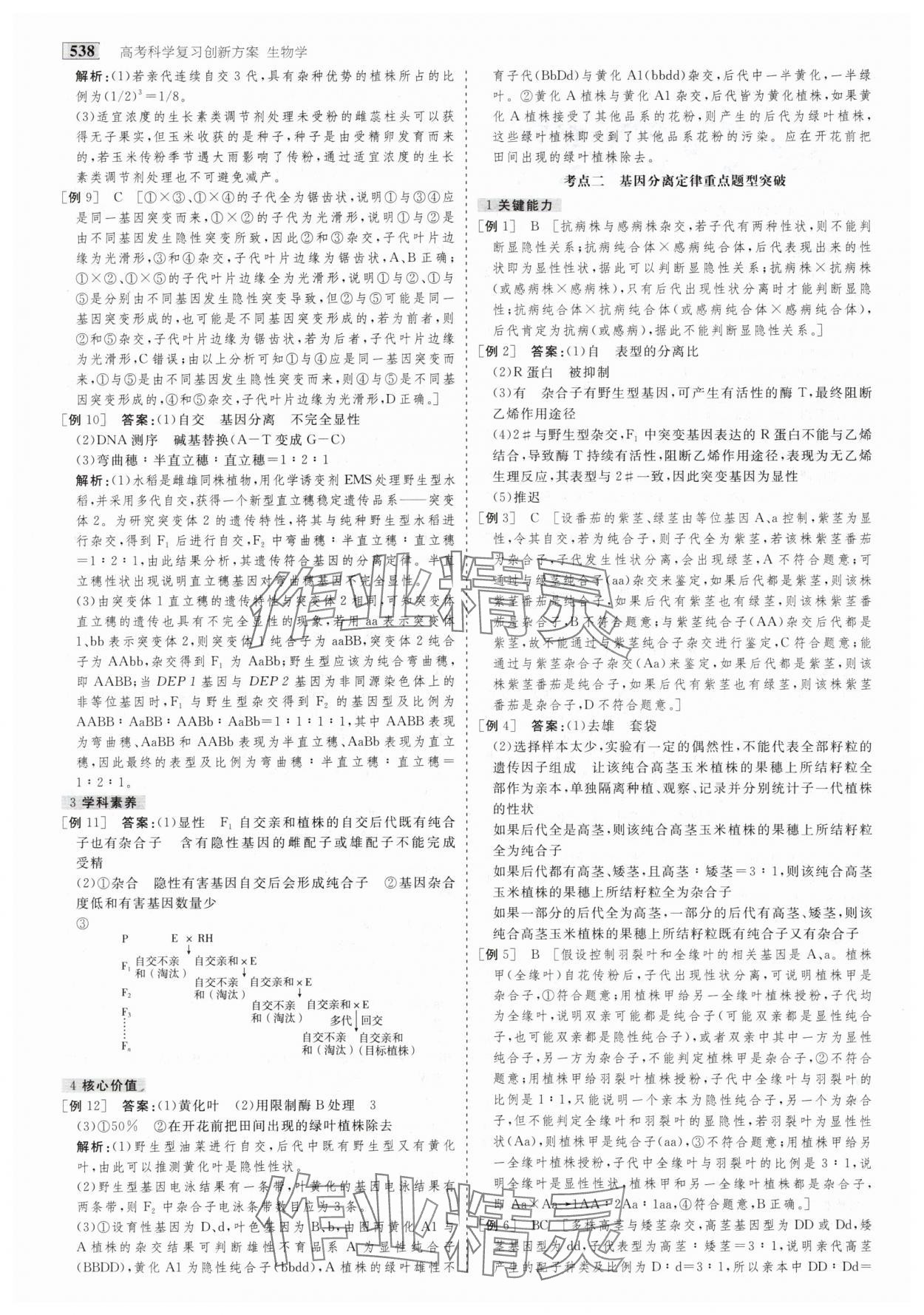 2025年金版教程高考科學(xué)復(fù)習(xí)解決方案生物創(chuàng)新版 第24頁