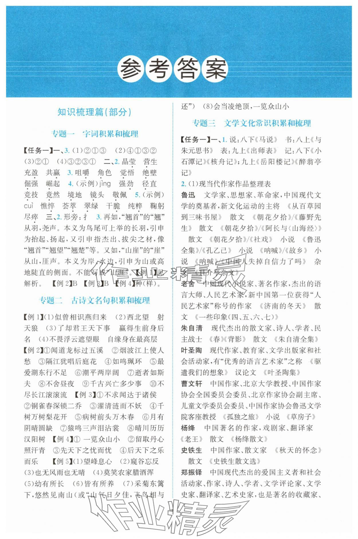 2025年初中学业水平考试总复习语文 第1页