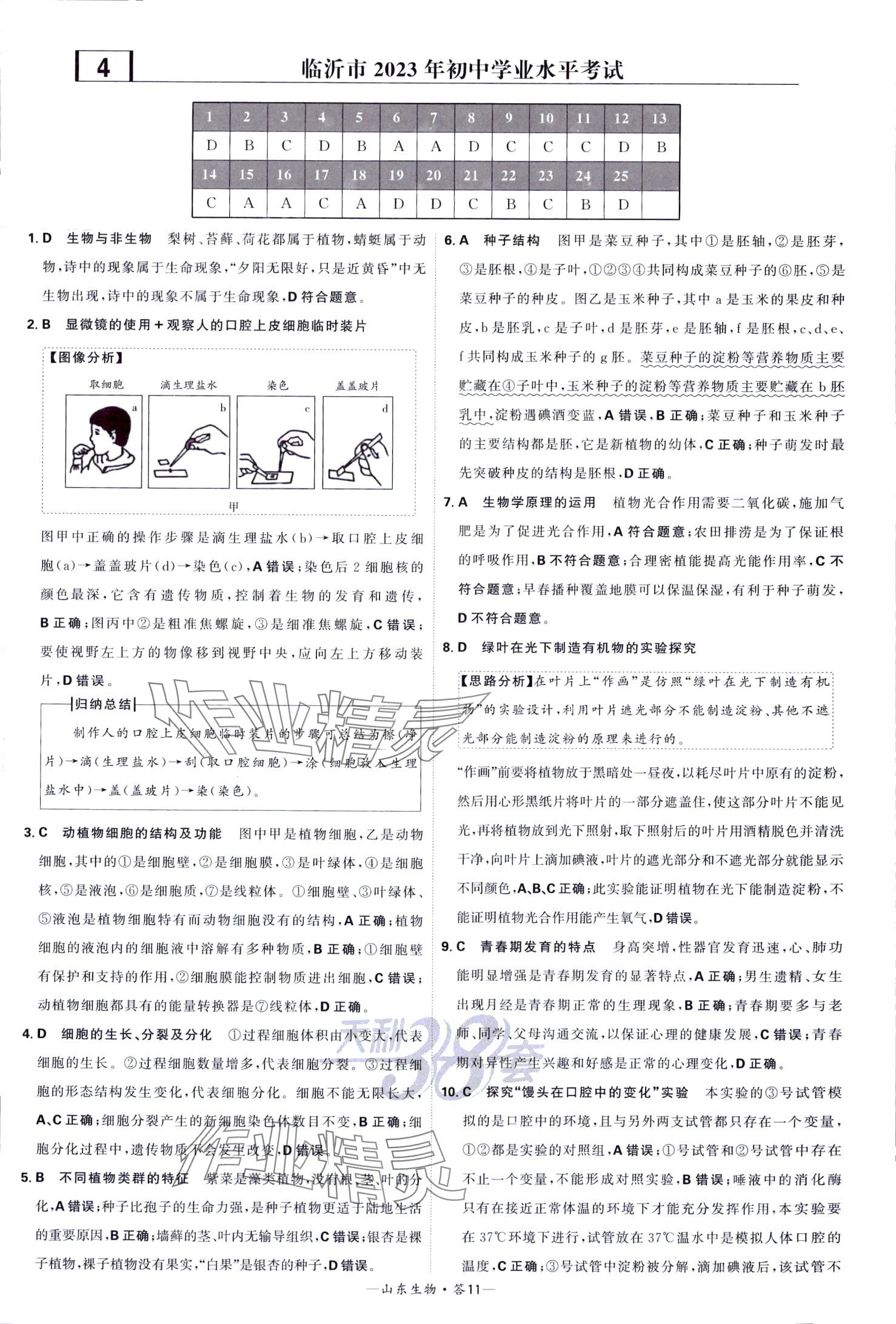 2024年天利38套中考试题精选生物中考山东专版 第11页