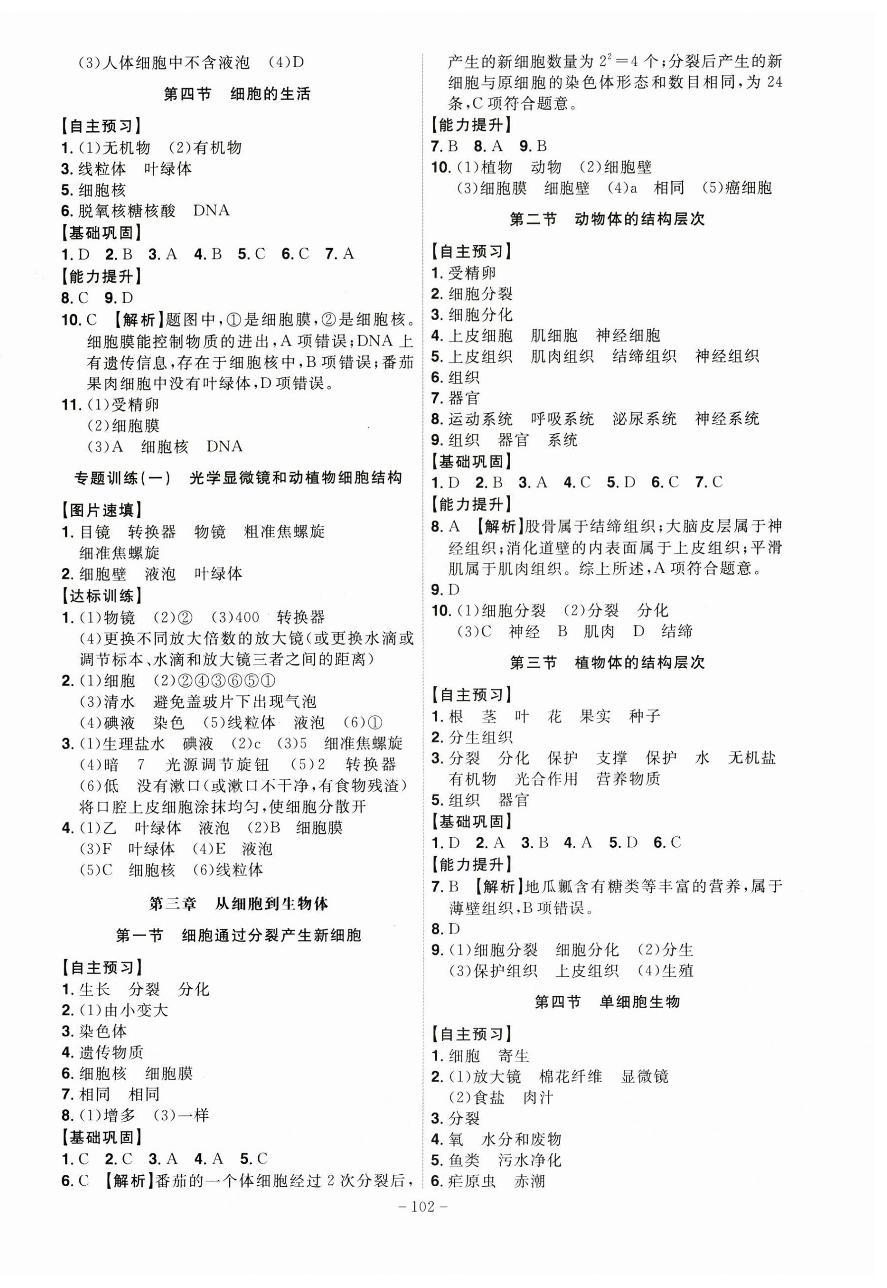 2024年課時A計劃七年級生物上冊人教版 第2頁