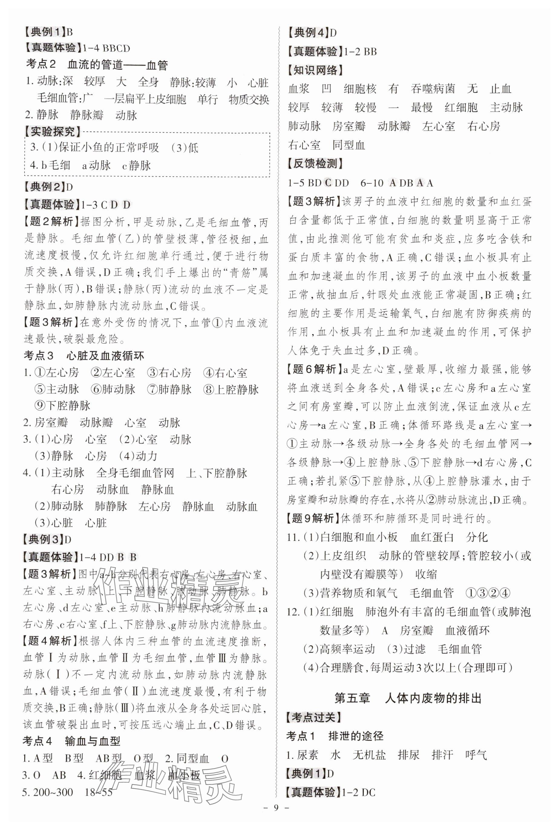 2025年名师中考广东专用生物&nbsp;参考答案第9页