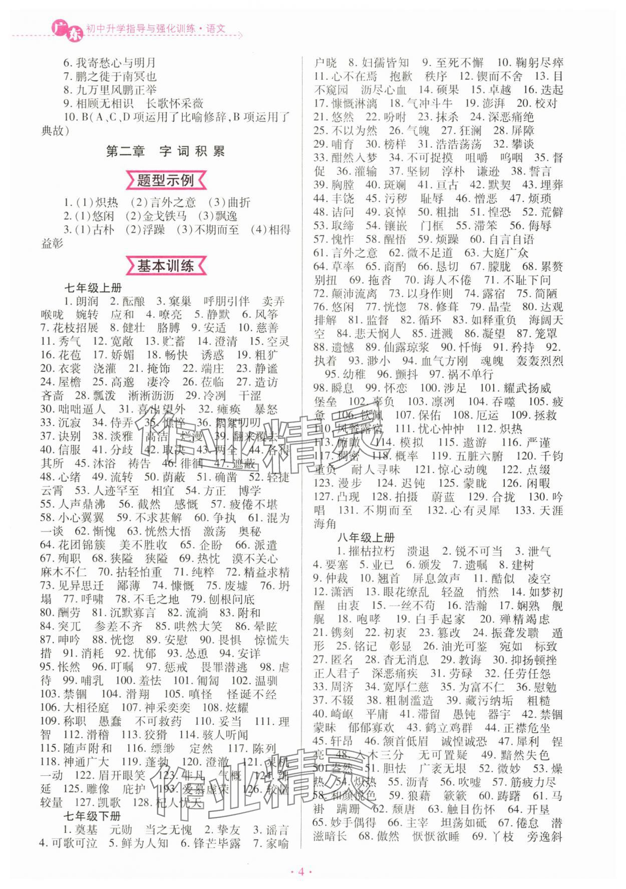 2025年廣東初中升學指導強化訓練語文 第4頁
