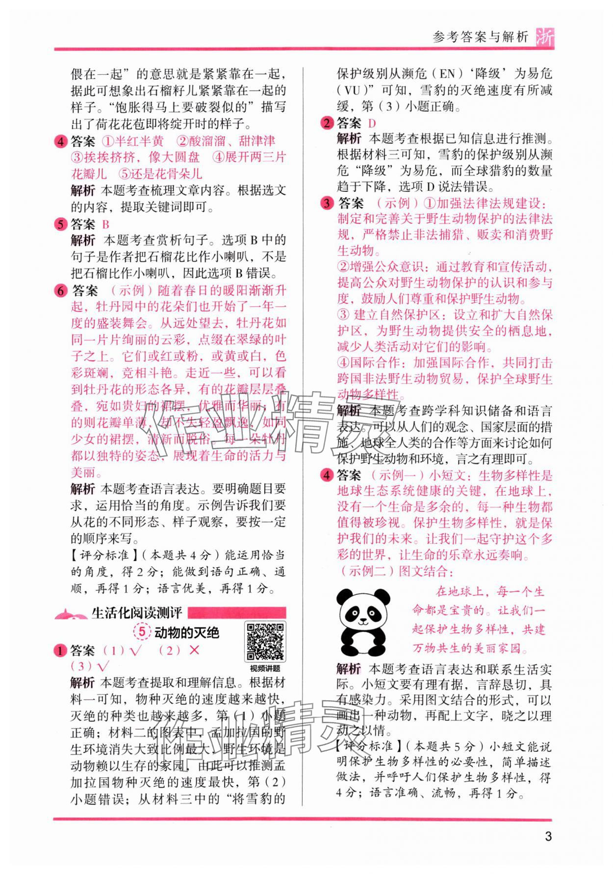 2025年木头马阅读力测评三年级语文下册人教版浙江专版&nbsp;第3页