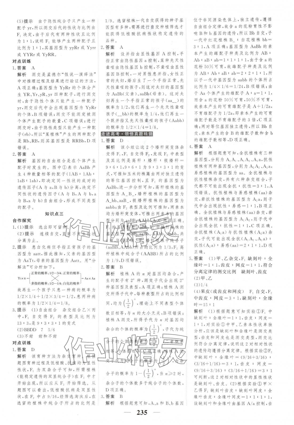 2025年新教材同步學案高考調研生物必修2人教版 第5頁