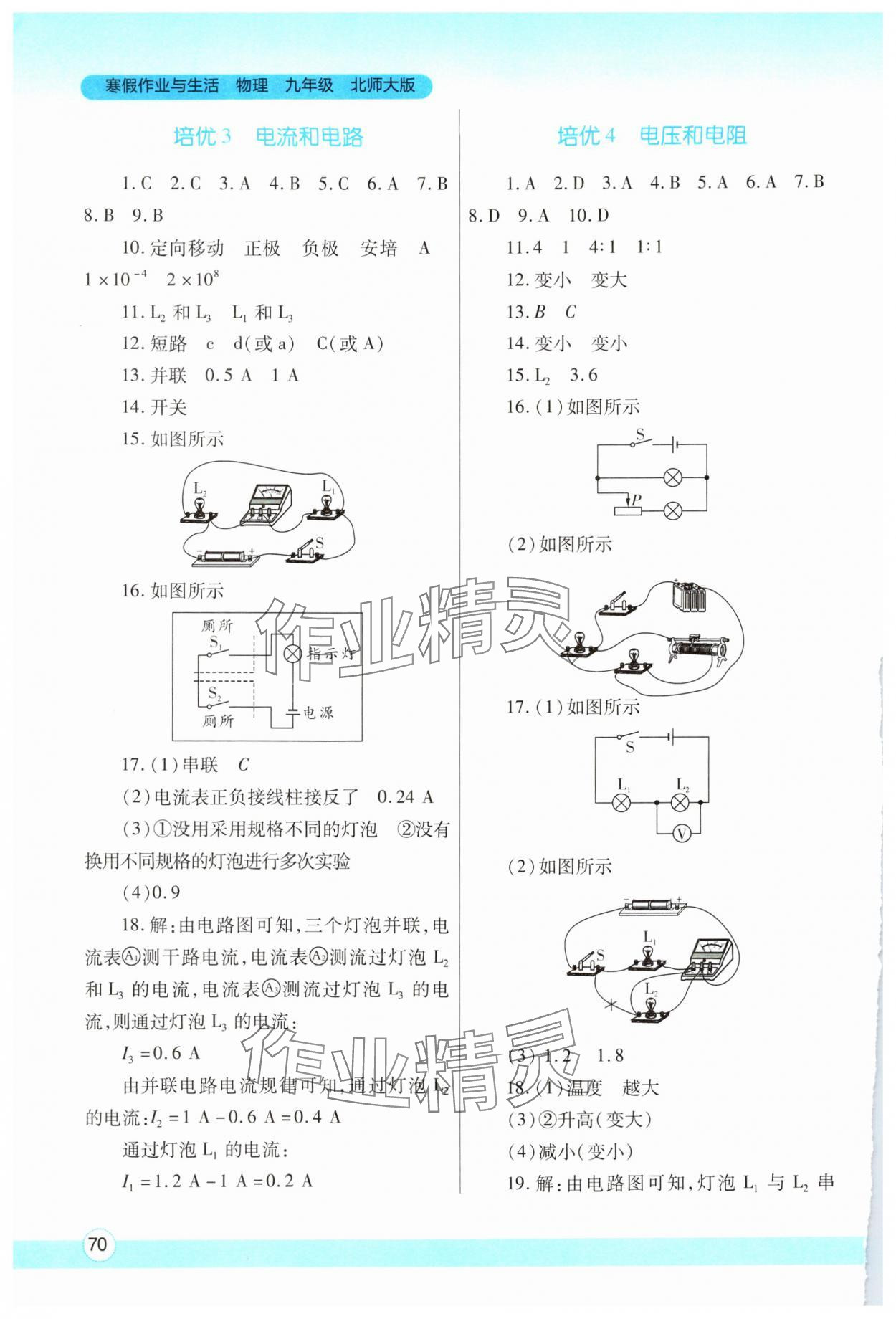 2025年寒假作業(yè)與生活九年級物理北師大版陜西師范大學(xué)出版總社 第2頁