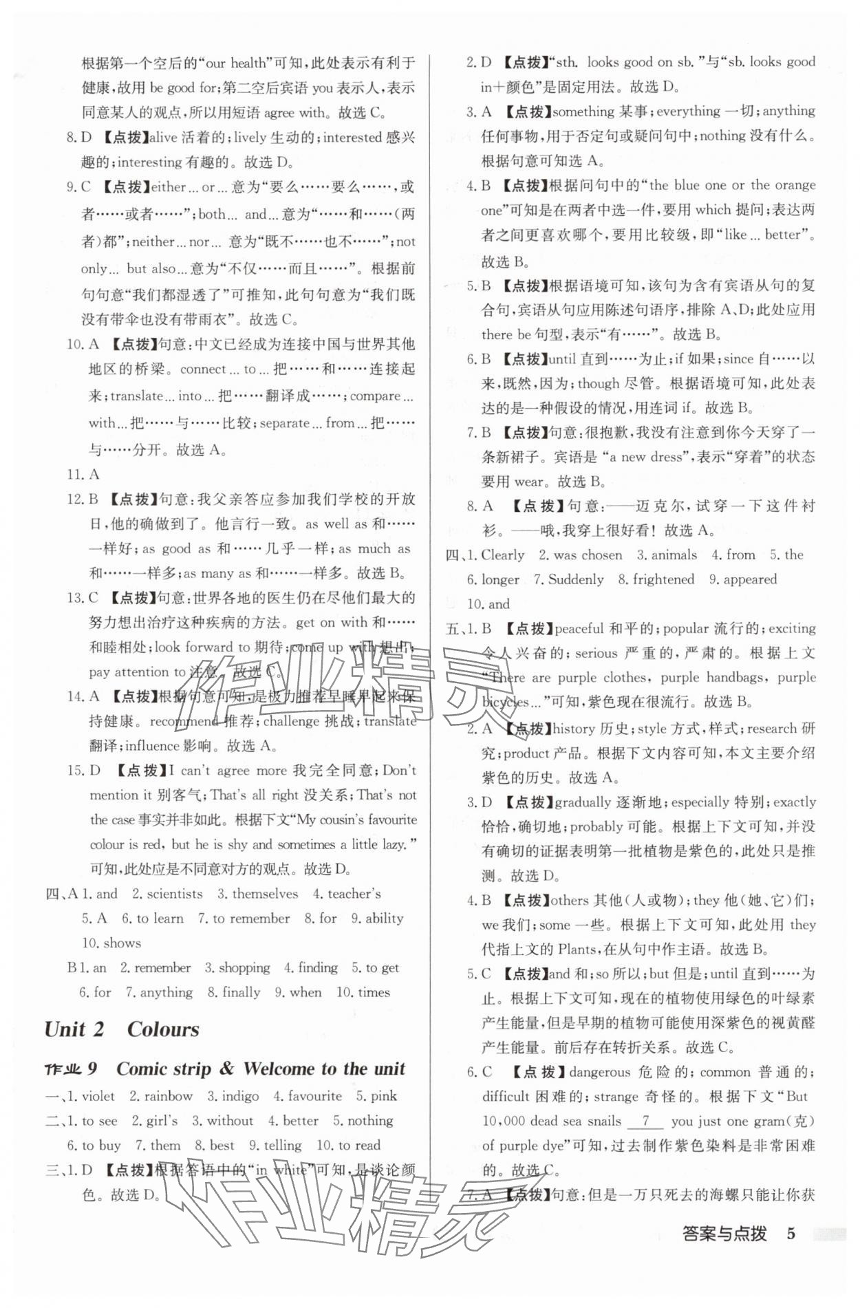 2025年启东中学作业本九年级英语上册译林版宿迁专版 第5页