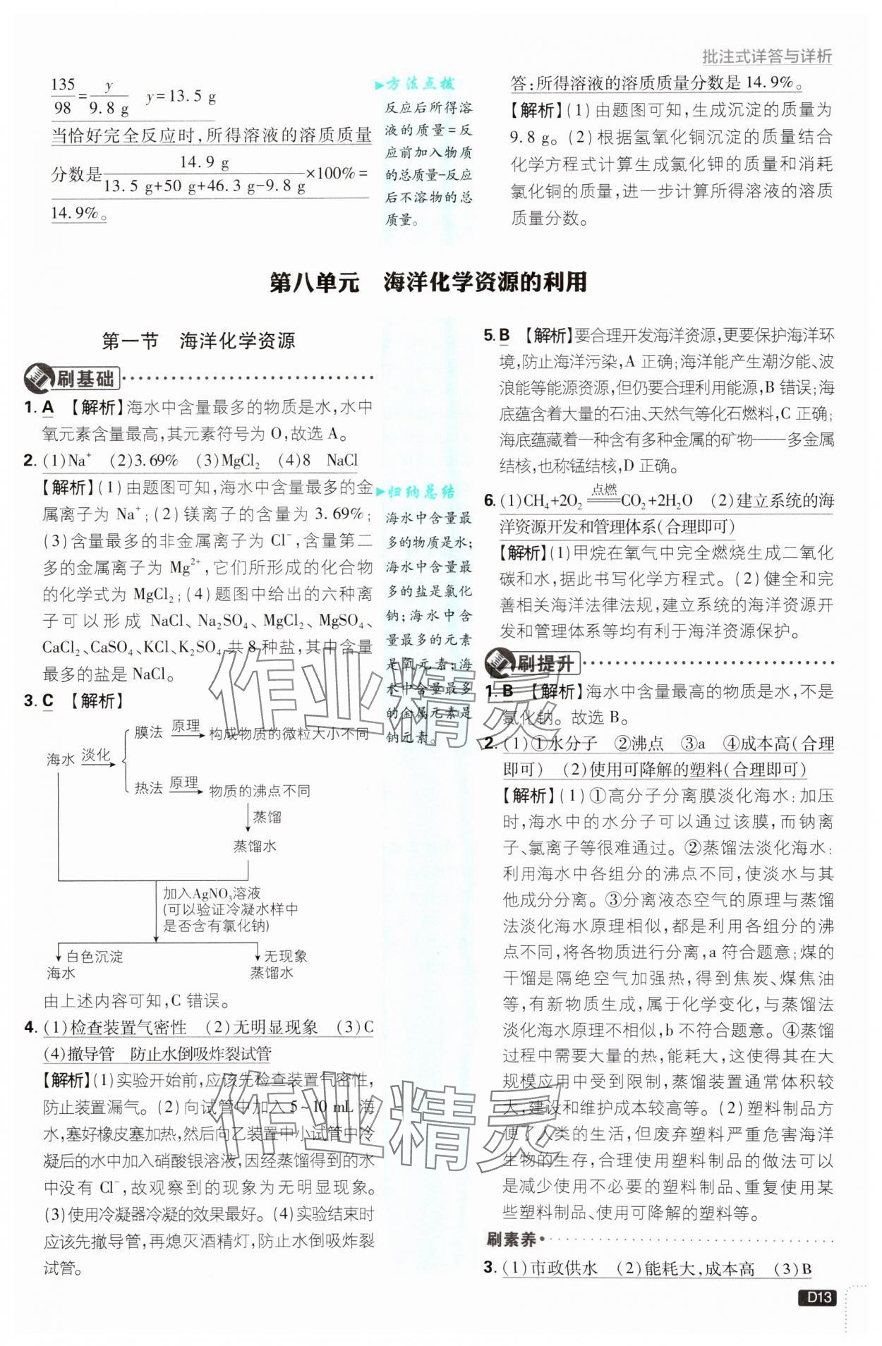 2025年初中必刷題九年級化學下冊魯教版 第13頁