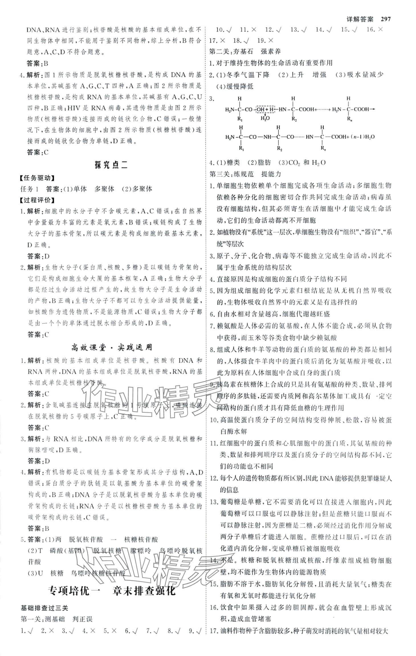 2024年師說(shuō)高中生物必修1人教版 第8頁(yè)