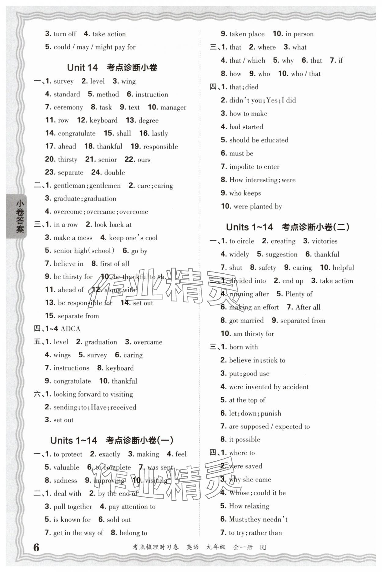 2025年王朝霞考点梳理时习卷九年级英语全一册人教版 第6页