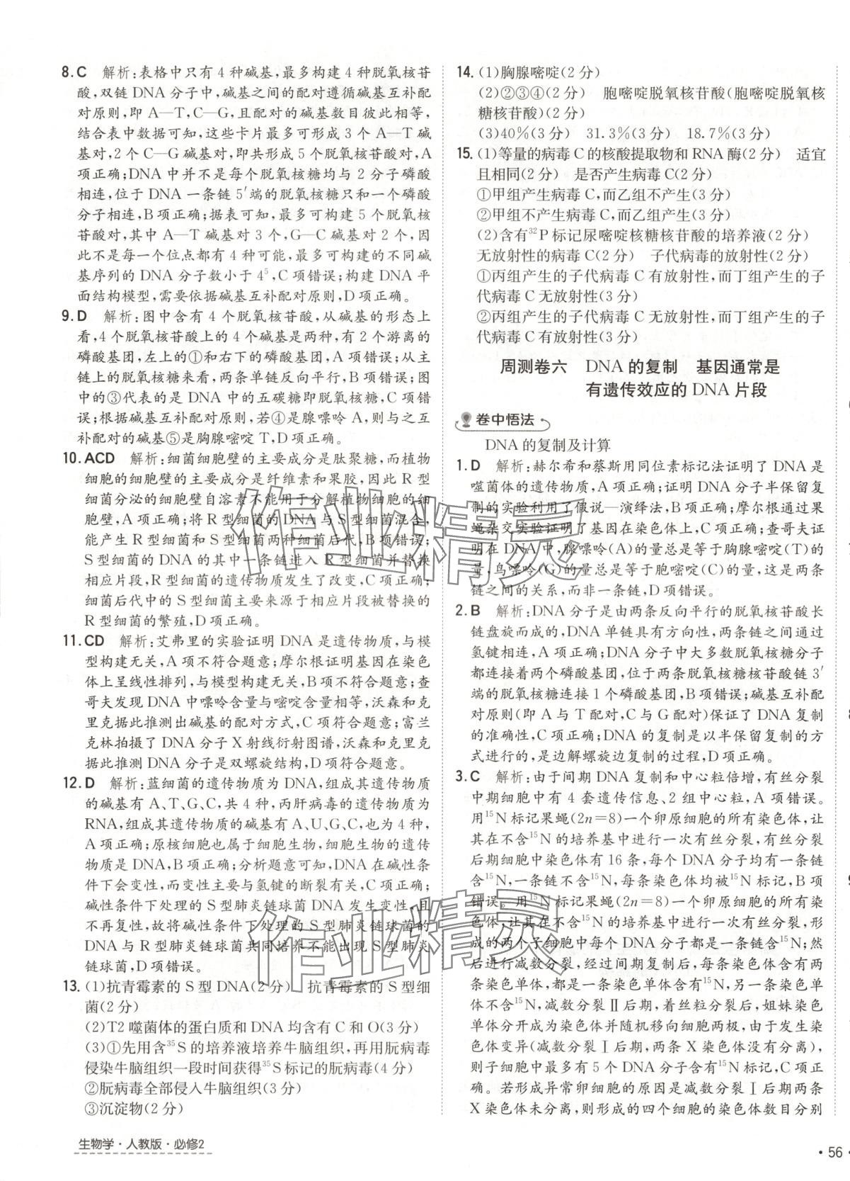 2025年卷霸高中同步測試卷高中生物必修2人教版 第7頁