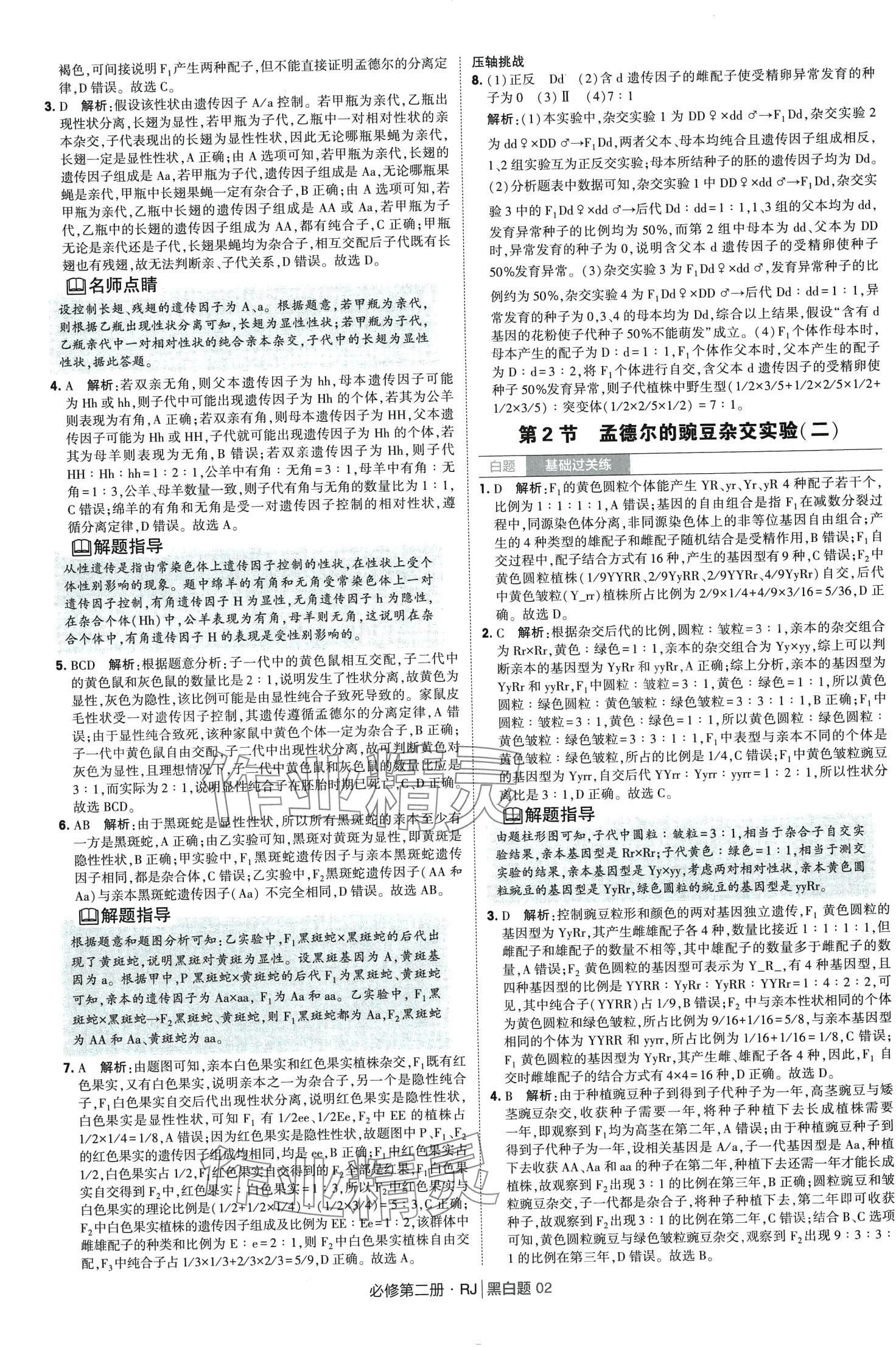 2024年經(jīng)綸學(xué)典黑白題高中生物必修第二冊人教版 第2頁