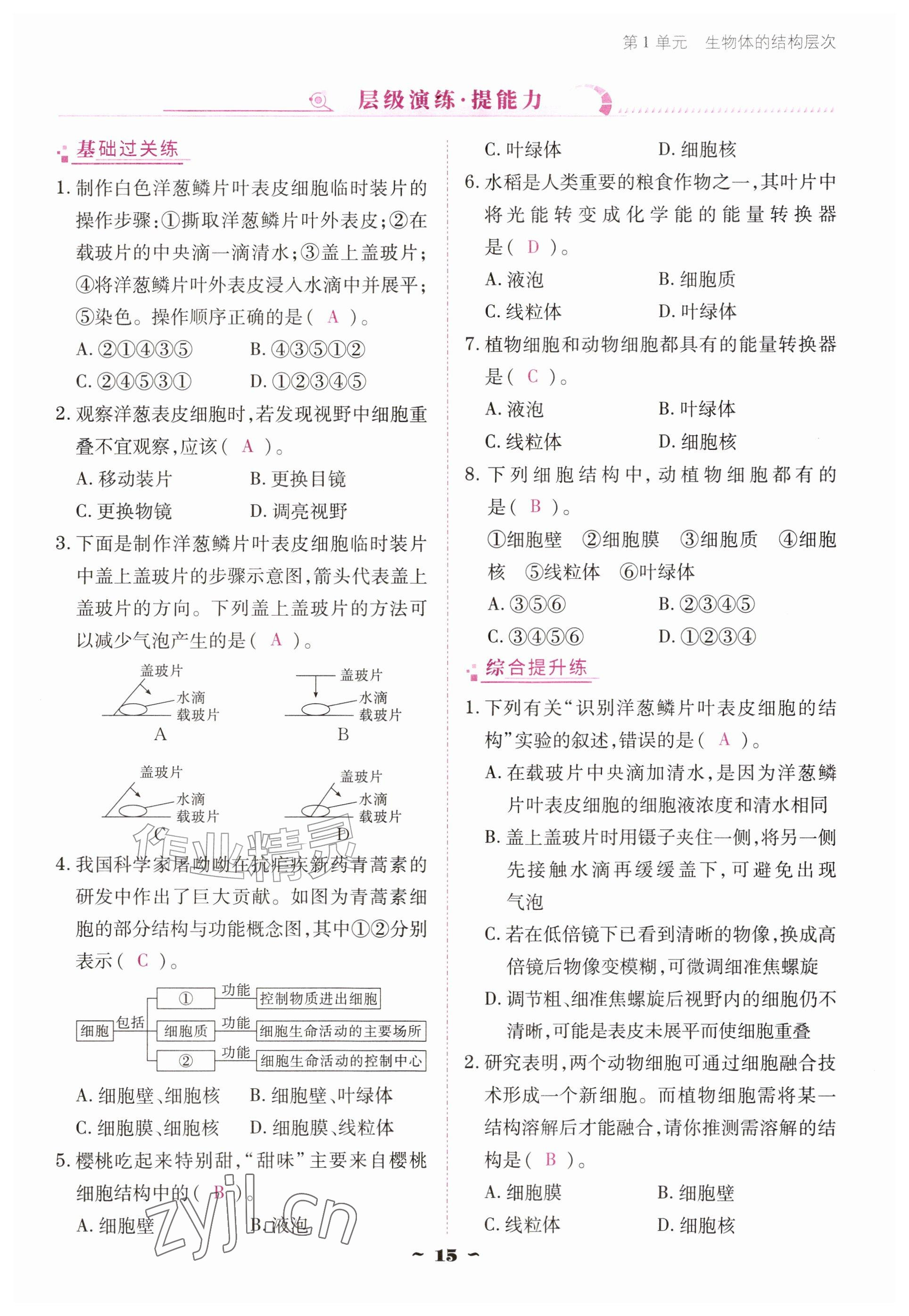 2026年云南省标准教辅优佳学案七年级历史上册人教版&nbsp;参考答案第15页