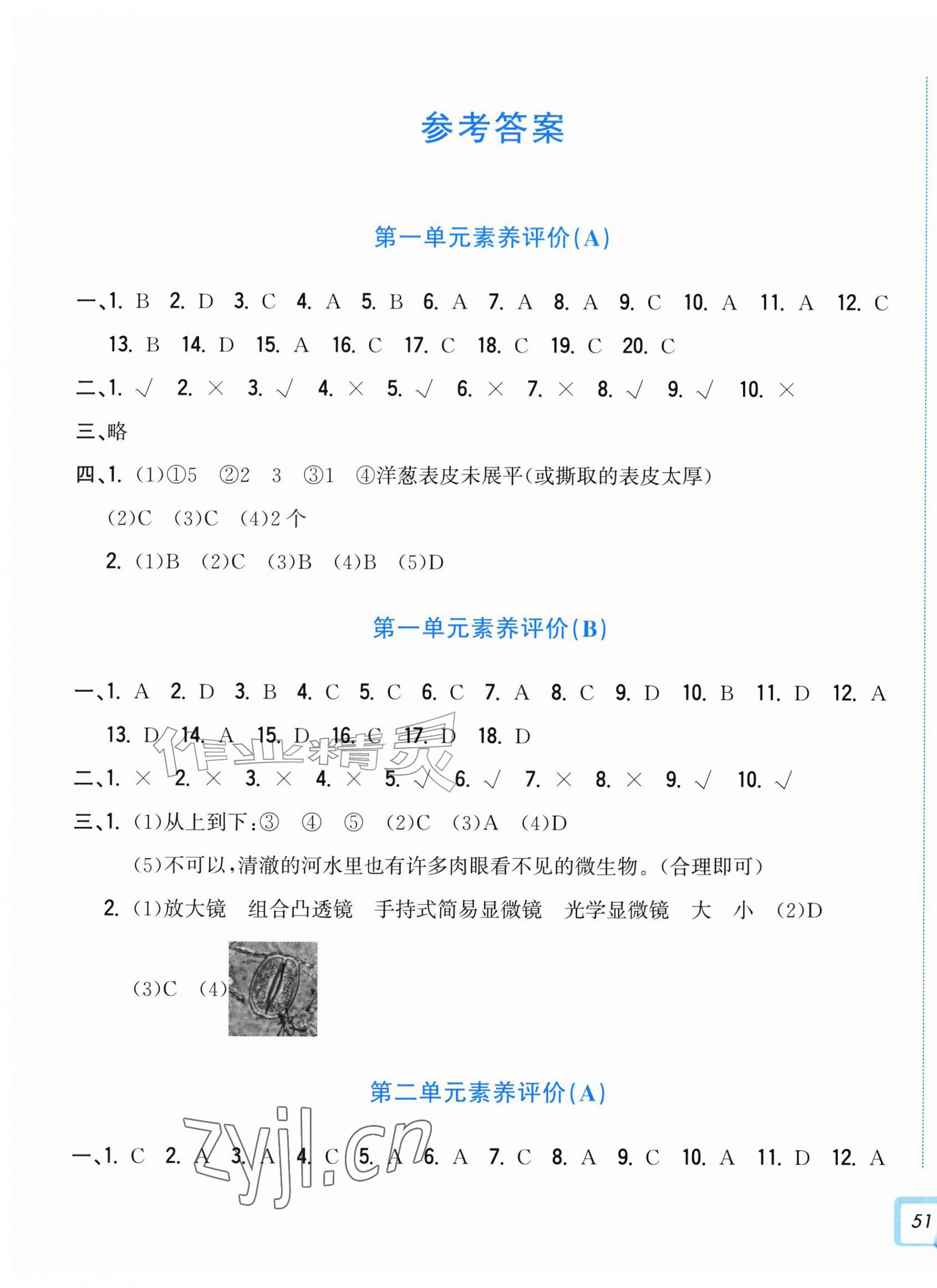 2026年学力测评小学生单元测试卷五年级科学上册教科版&nbsp;参考答案第1页